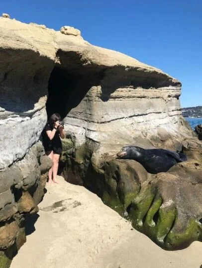 seal.JPG