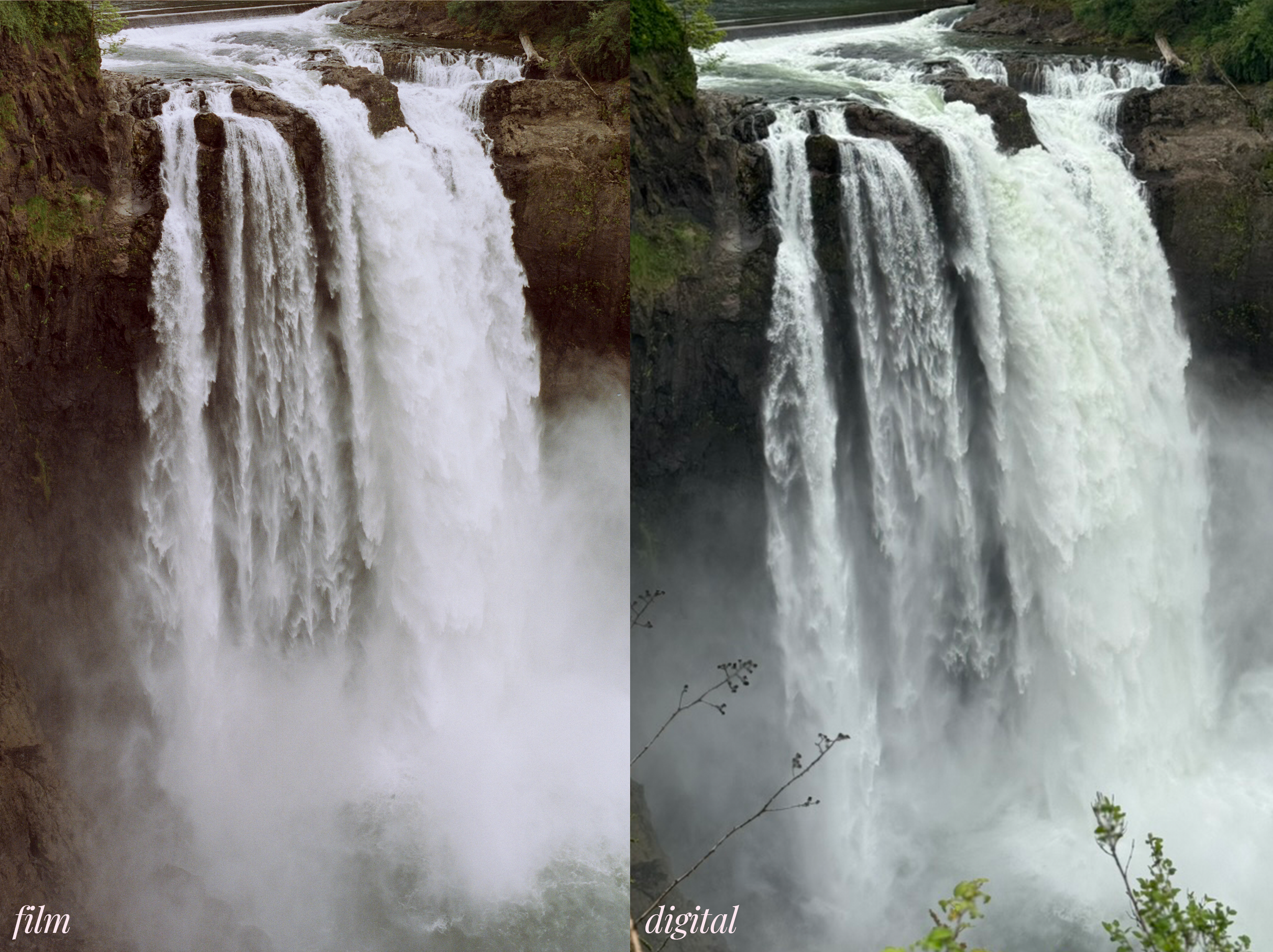 Snoqualmie on film vs digital image by Briana Raucci
