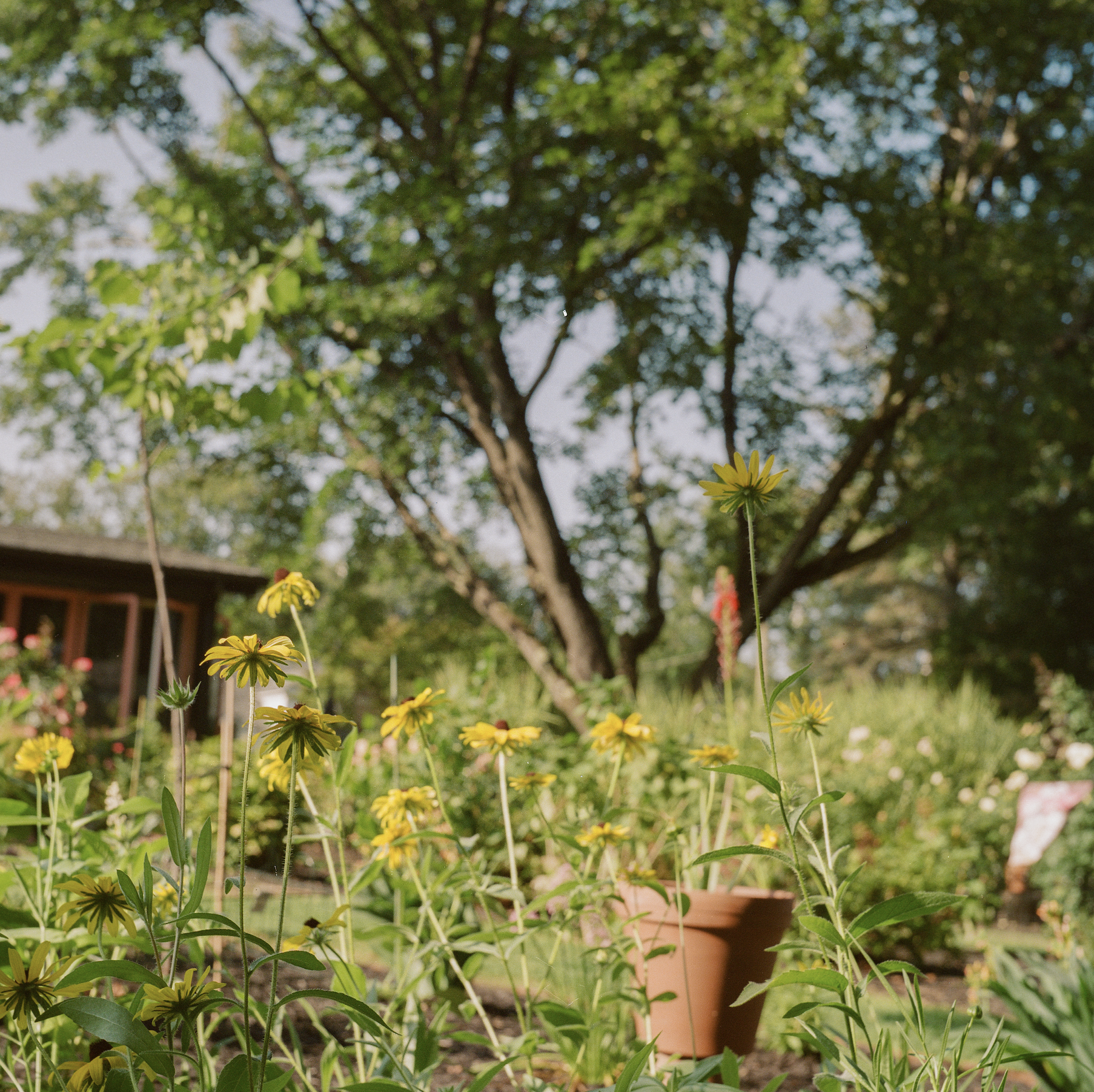 Screenshot 2026-02-10 at 5.34.03 PM.png