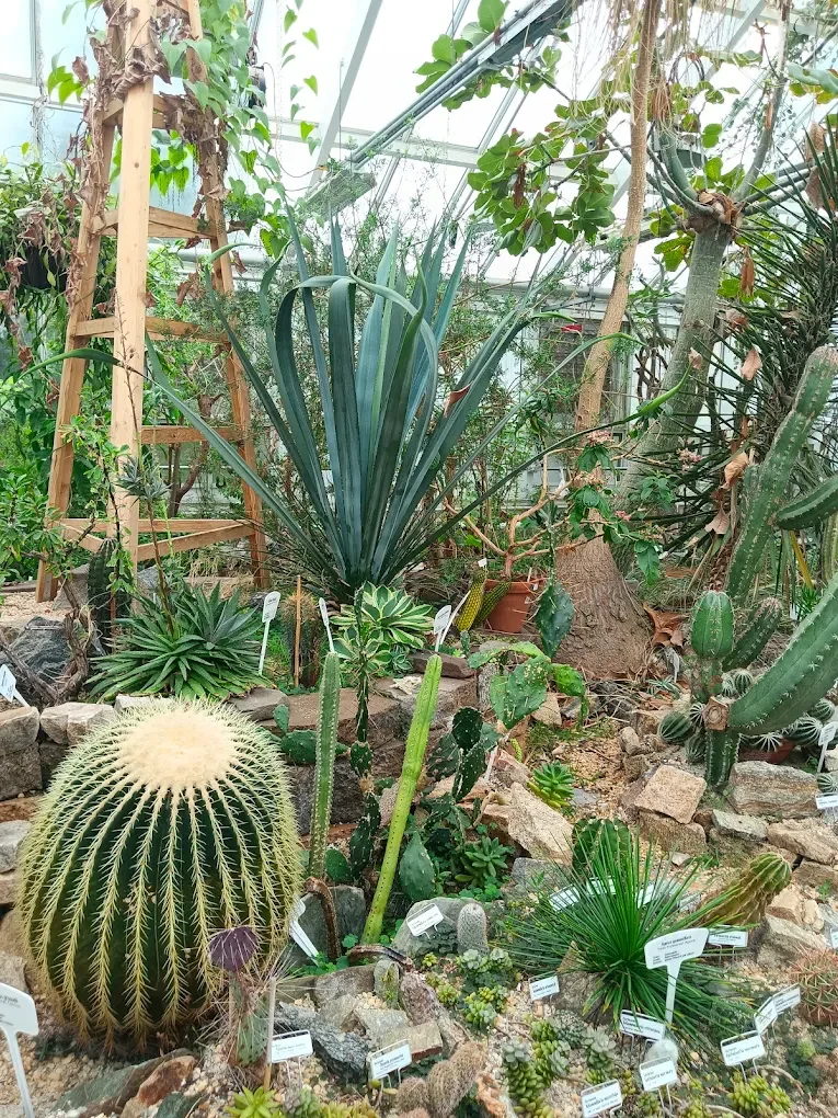 Marsh Botanical Garden