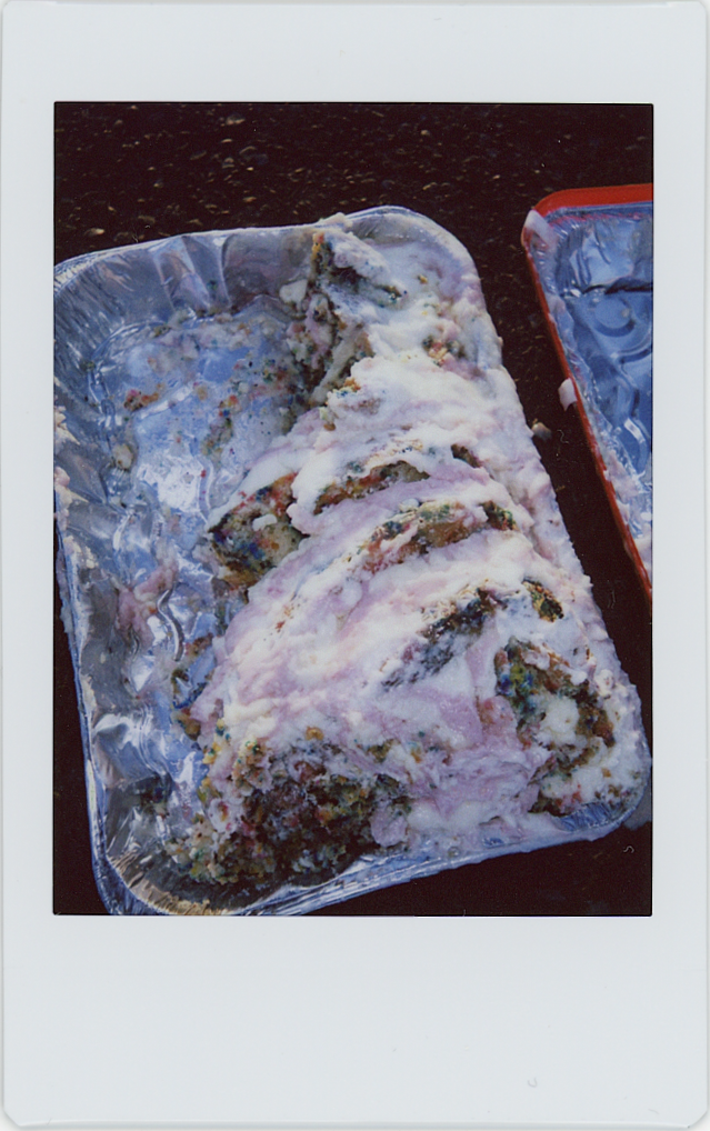 Wedding cake smashed on instax mini instant film by Briana Raucci. Destination film wedding and elopement photographer