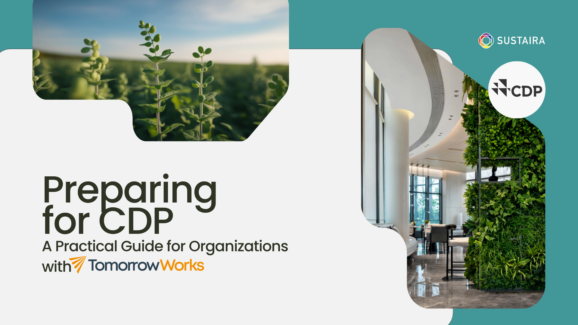 Preparing for CDP: A Practical Guide for Organizations