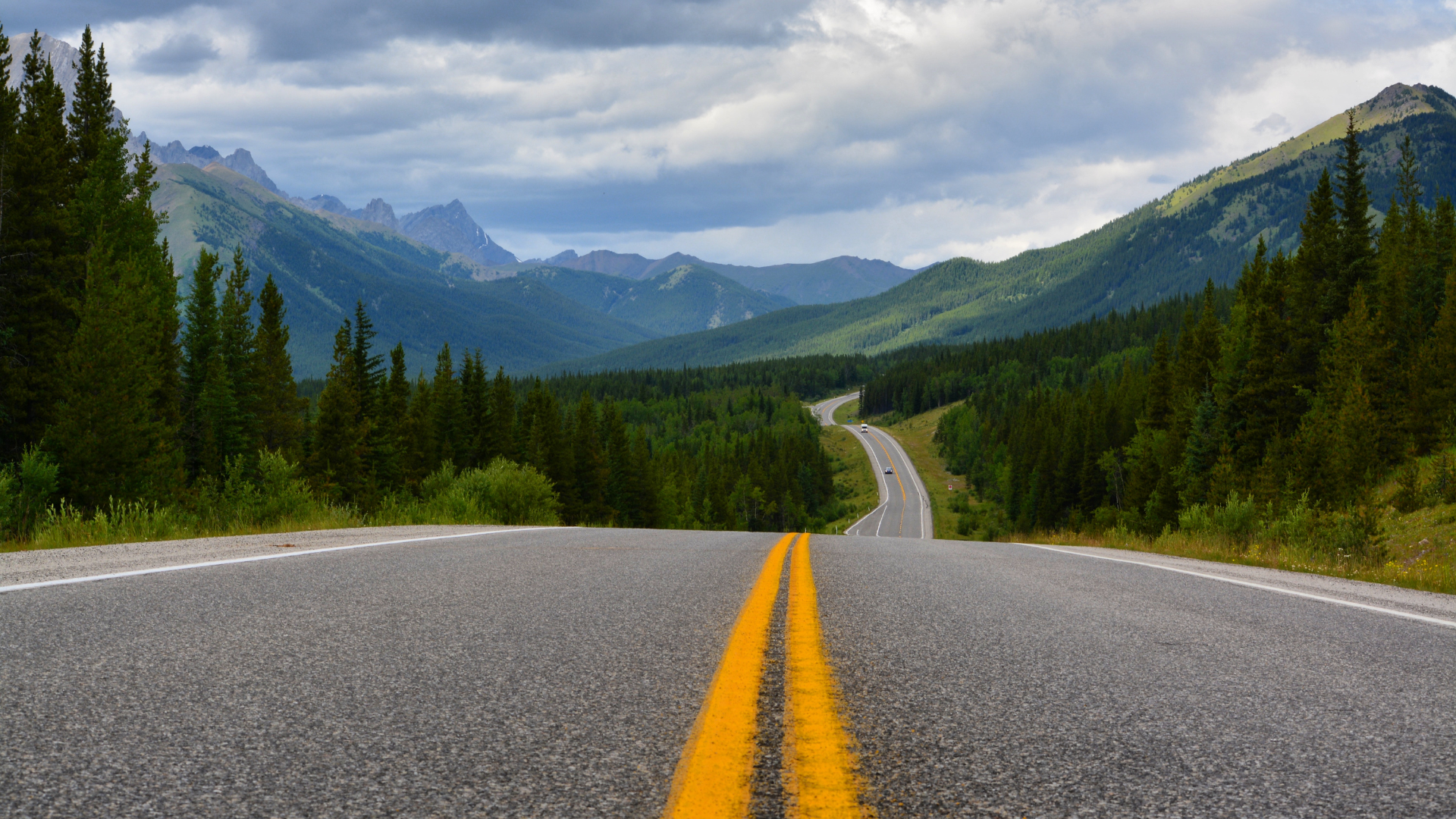 Mastering Your SBTi Journey: A Comprehensive Guide for Companies