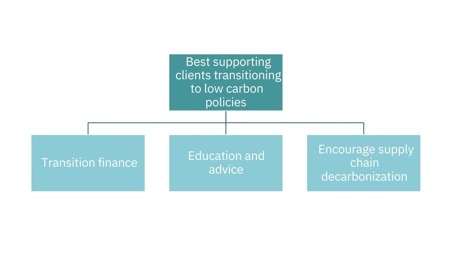 Financial Carbon Accounting — Sustaira