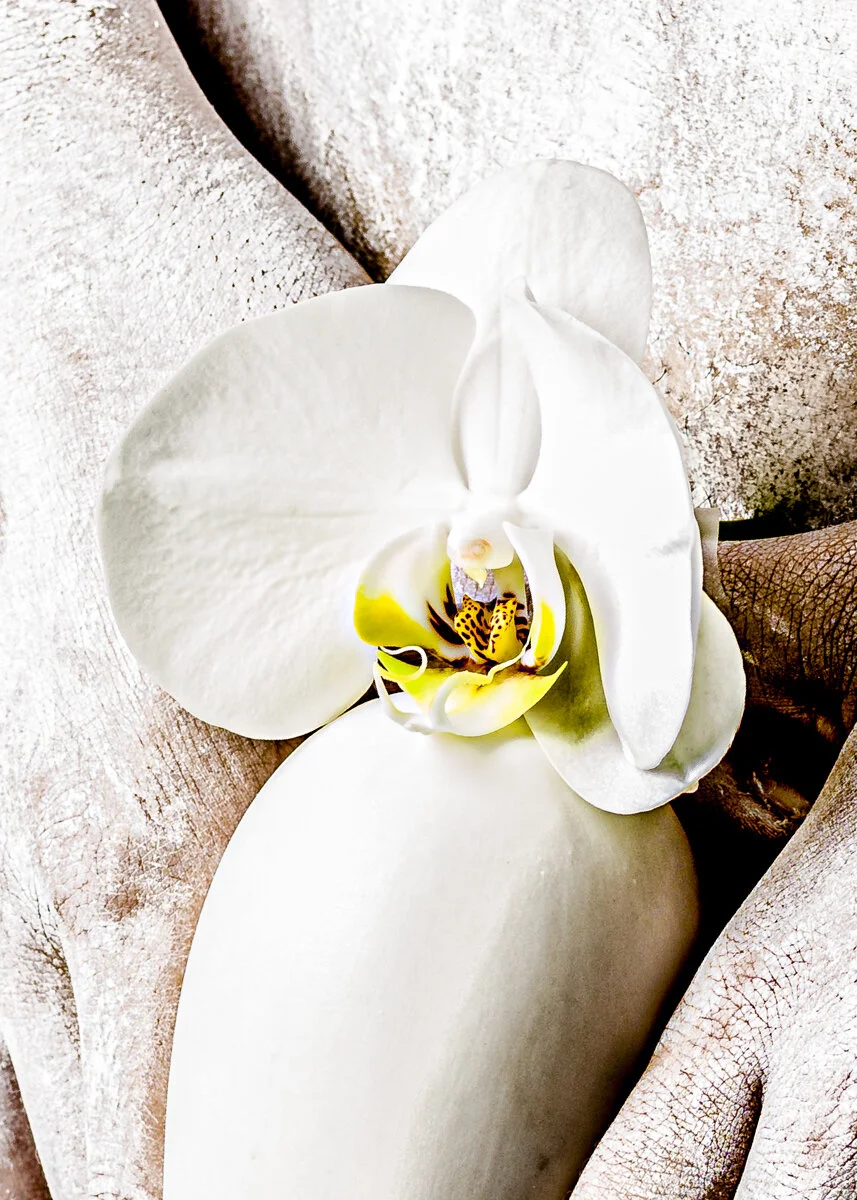 Sin título_00189.jpg