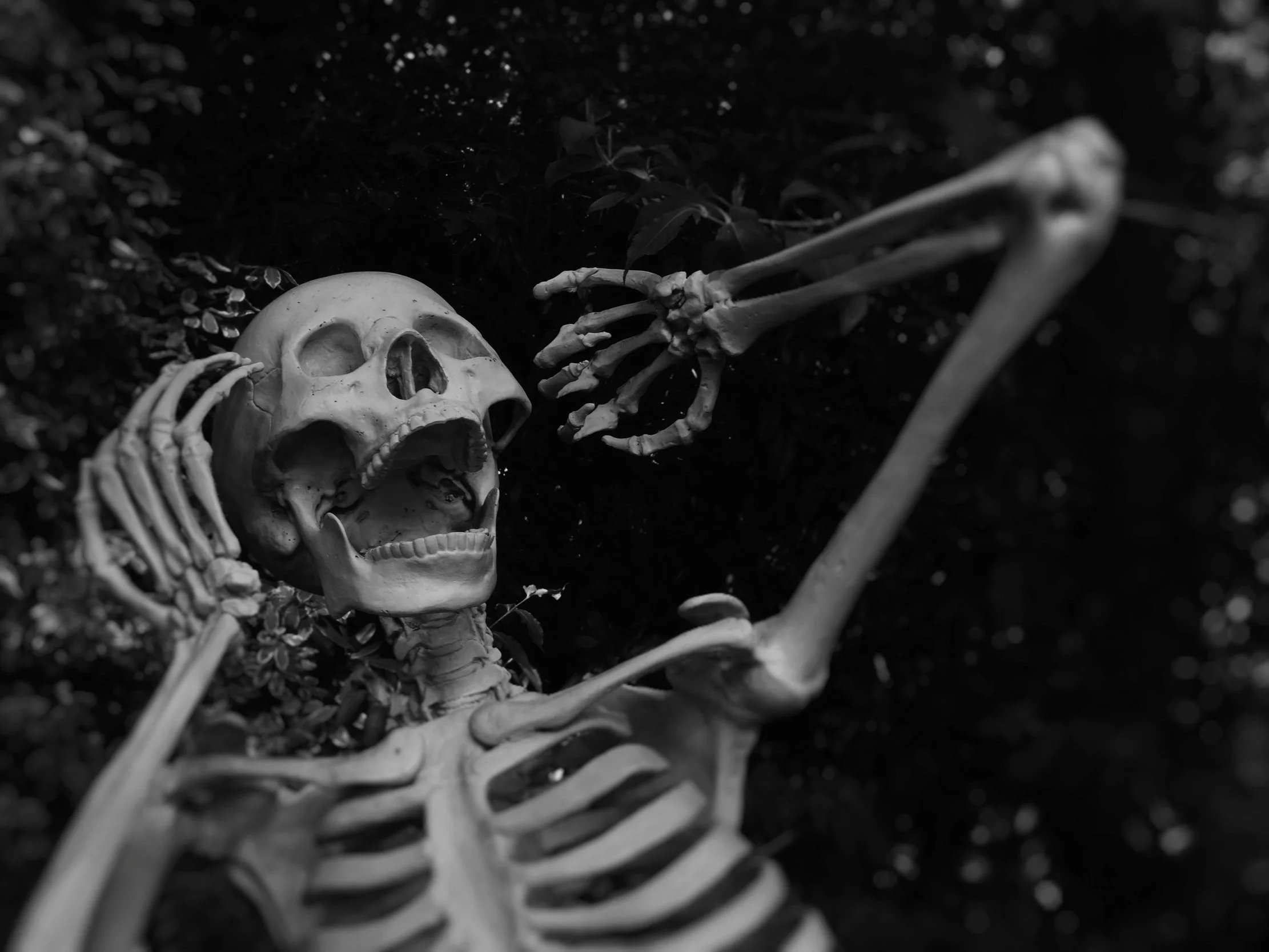 Hello, Halloween.