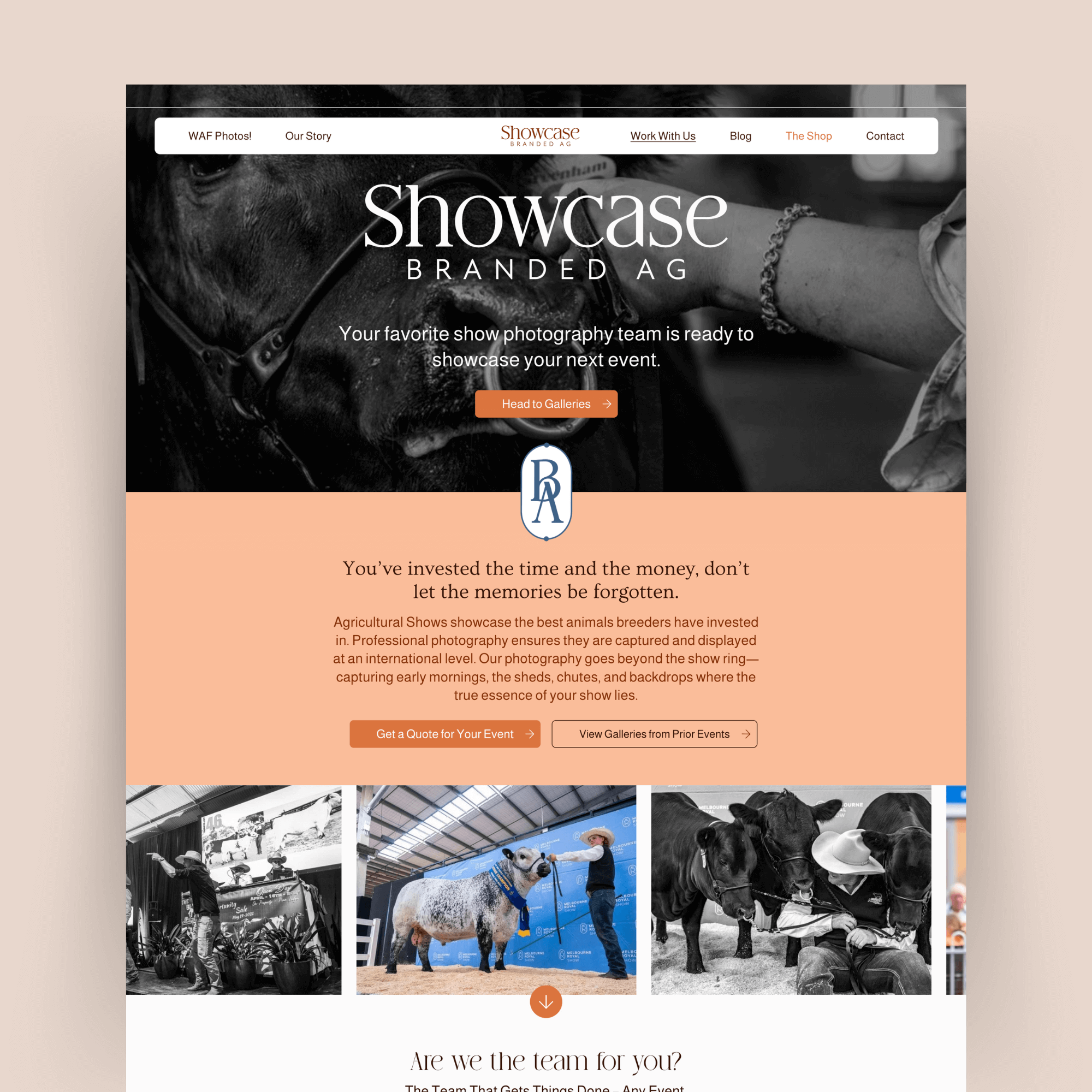 Squarespace Website Designer, Custom Squarespace Website, Agricultural Marketing Website, Event Photography Website