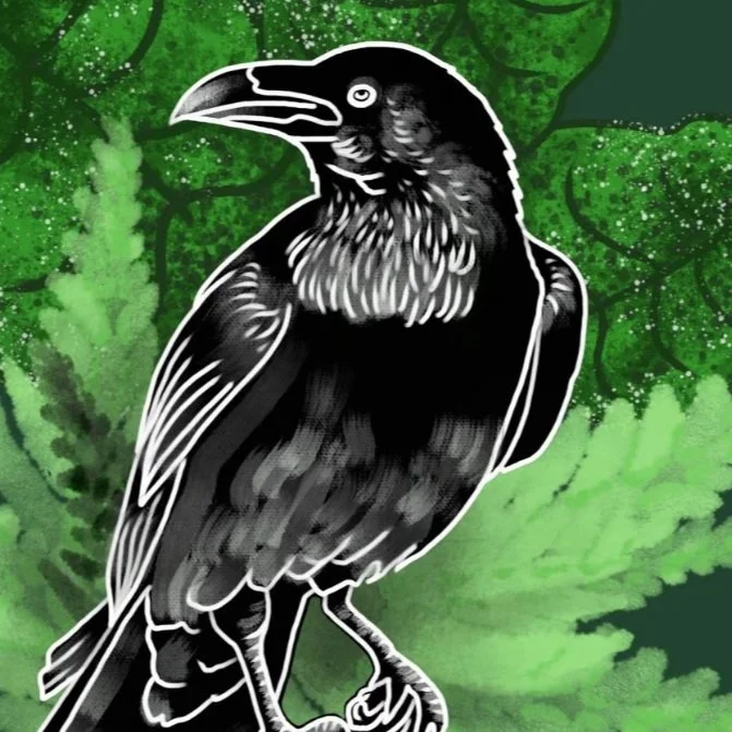 14+ Best Digital Art Classes You Can Take For Free