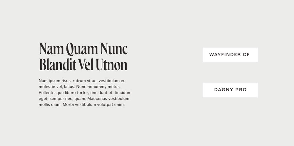 Adobe fonts pairings