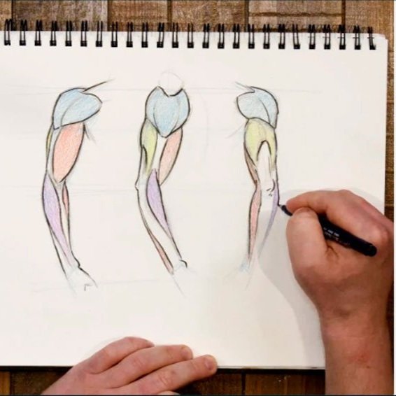 14+ Best Digital Art Classes You Can Take For Free