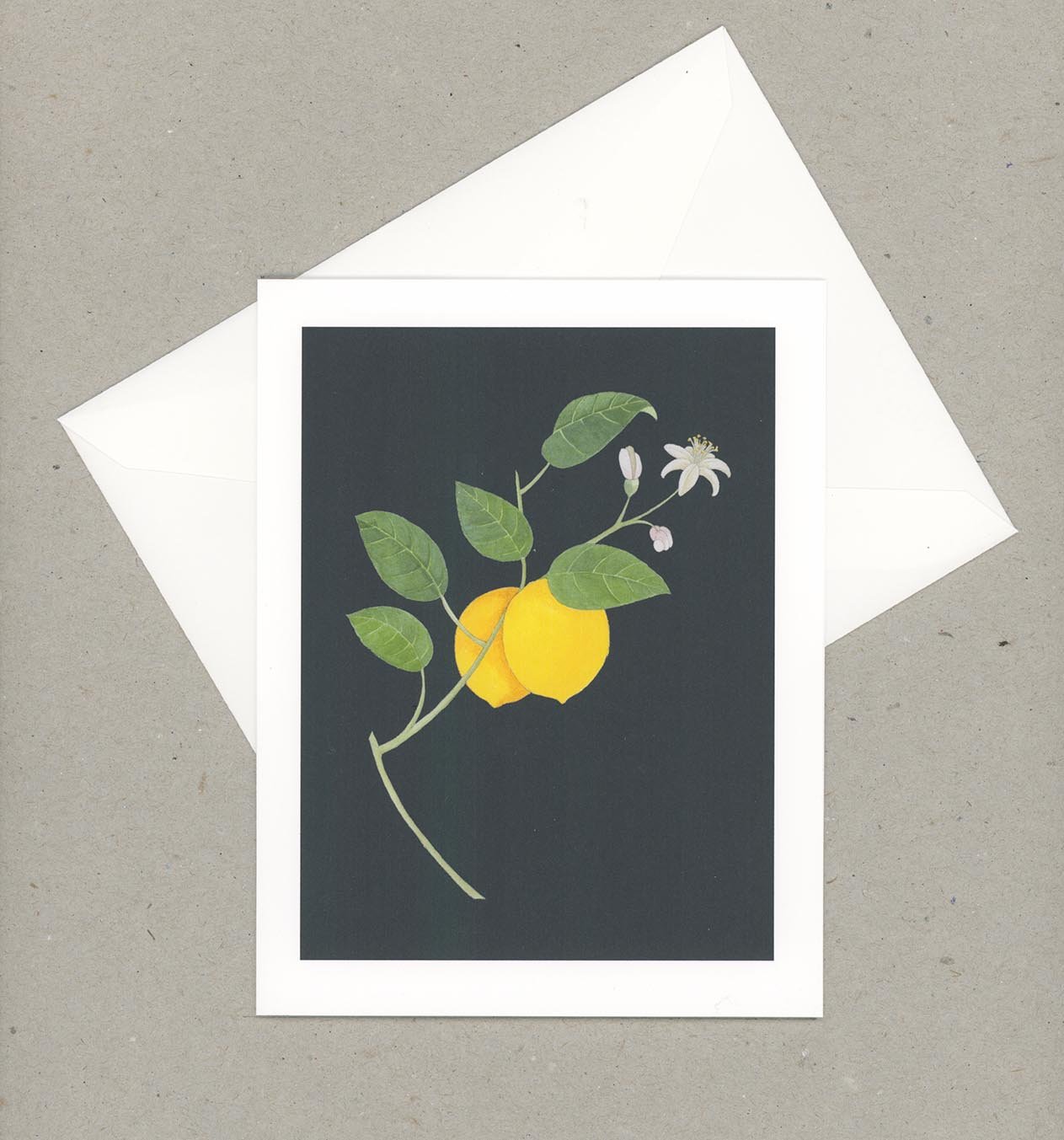 Set of Six Lemon Note Cards — VMazzoni