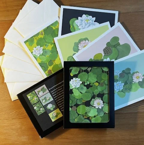 LINDNER Das Original Album Multi Collect pour Cartes Postales-Vert LINDNER Das Original Album Multi Collect pour Cartes Postales-Vert