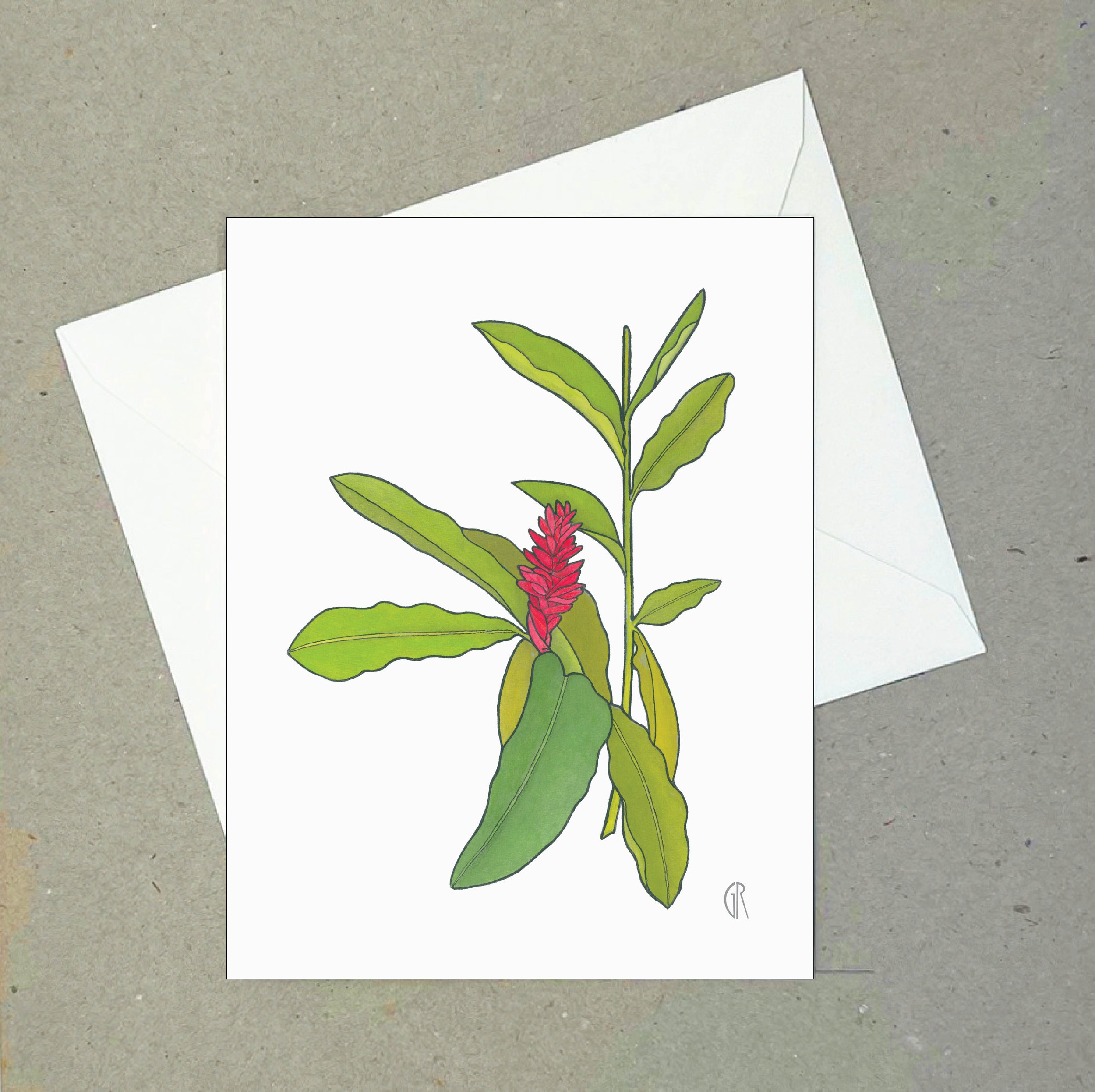 Red Ginger on White Note Card