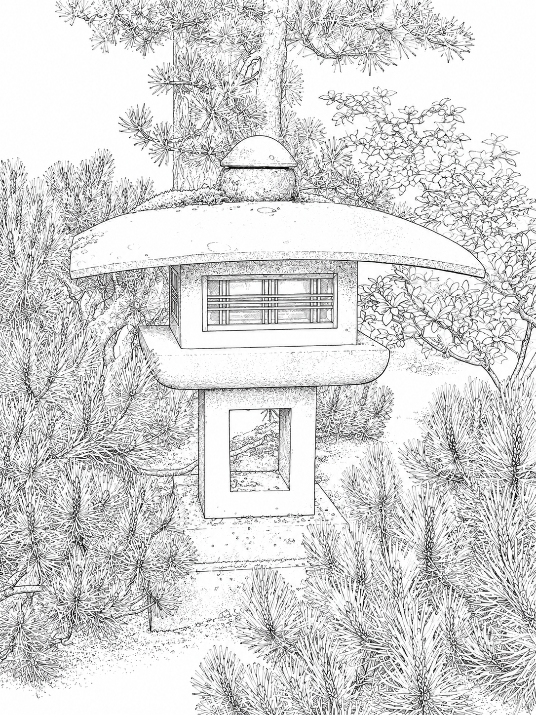 Lantern B.png