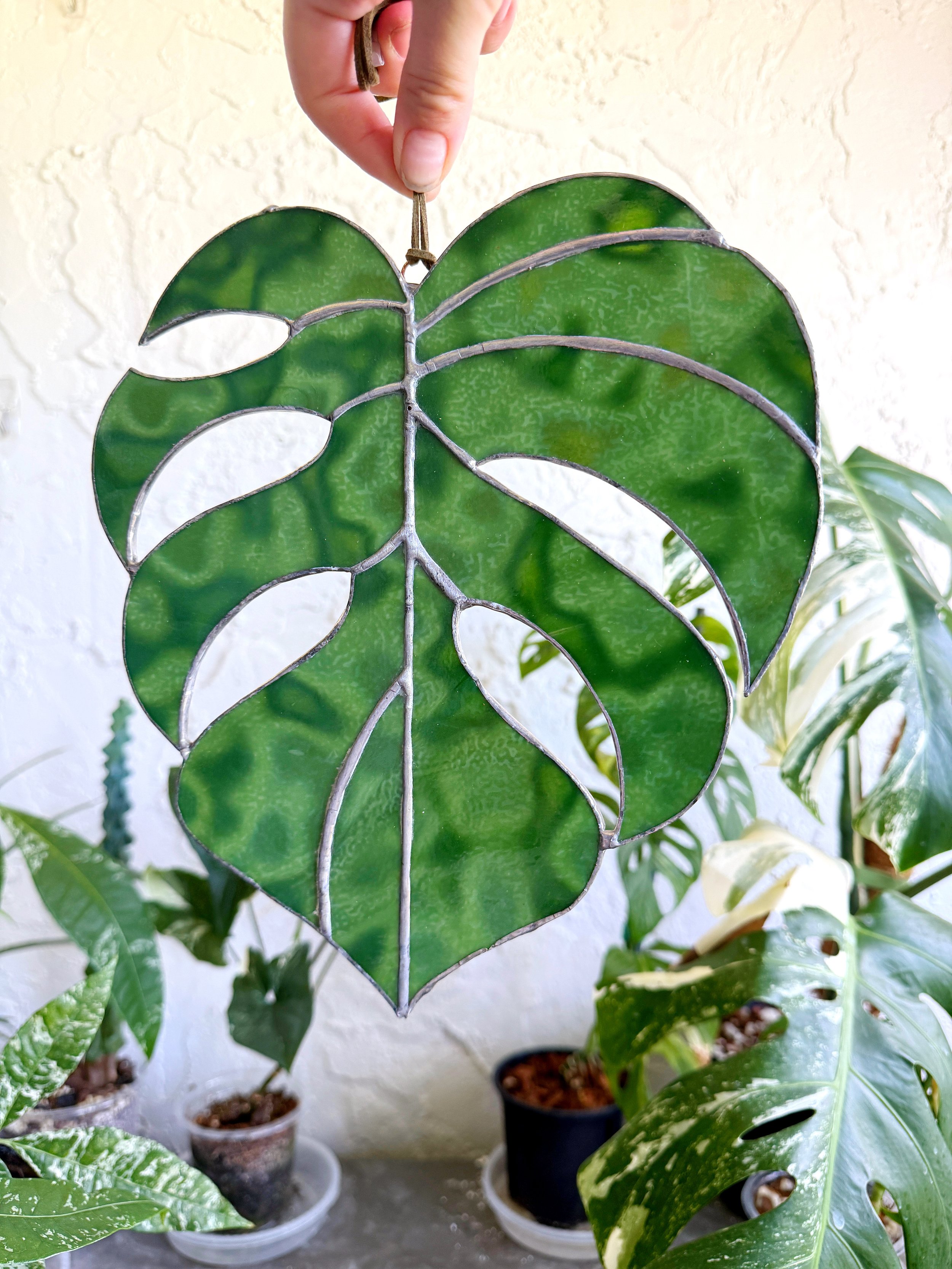 Stained Glass Monstera