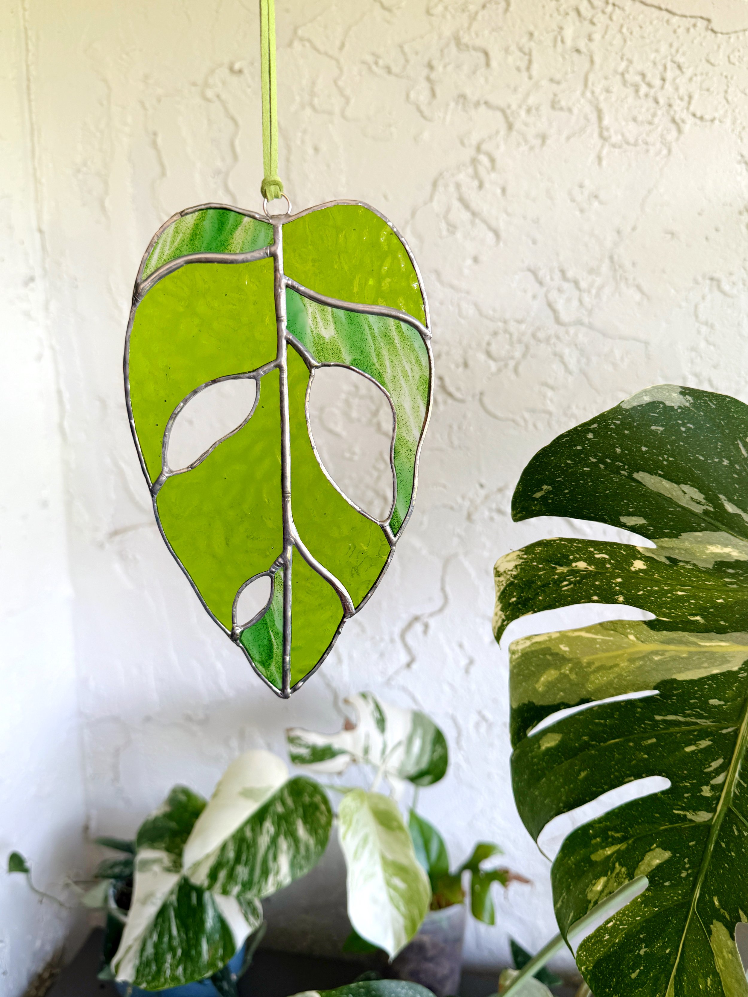 Monstera Obliqua Leaf Stained Glass