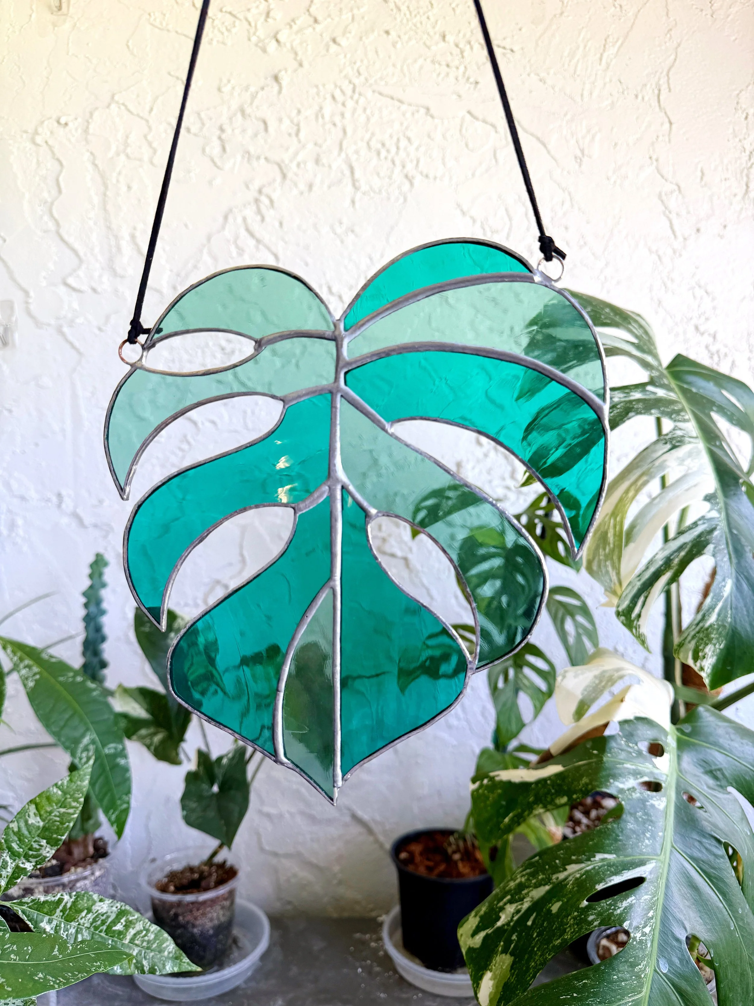 Stained Glass Monstera