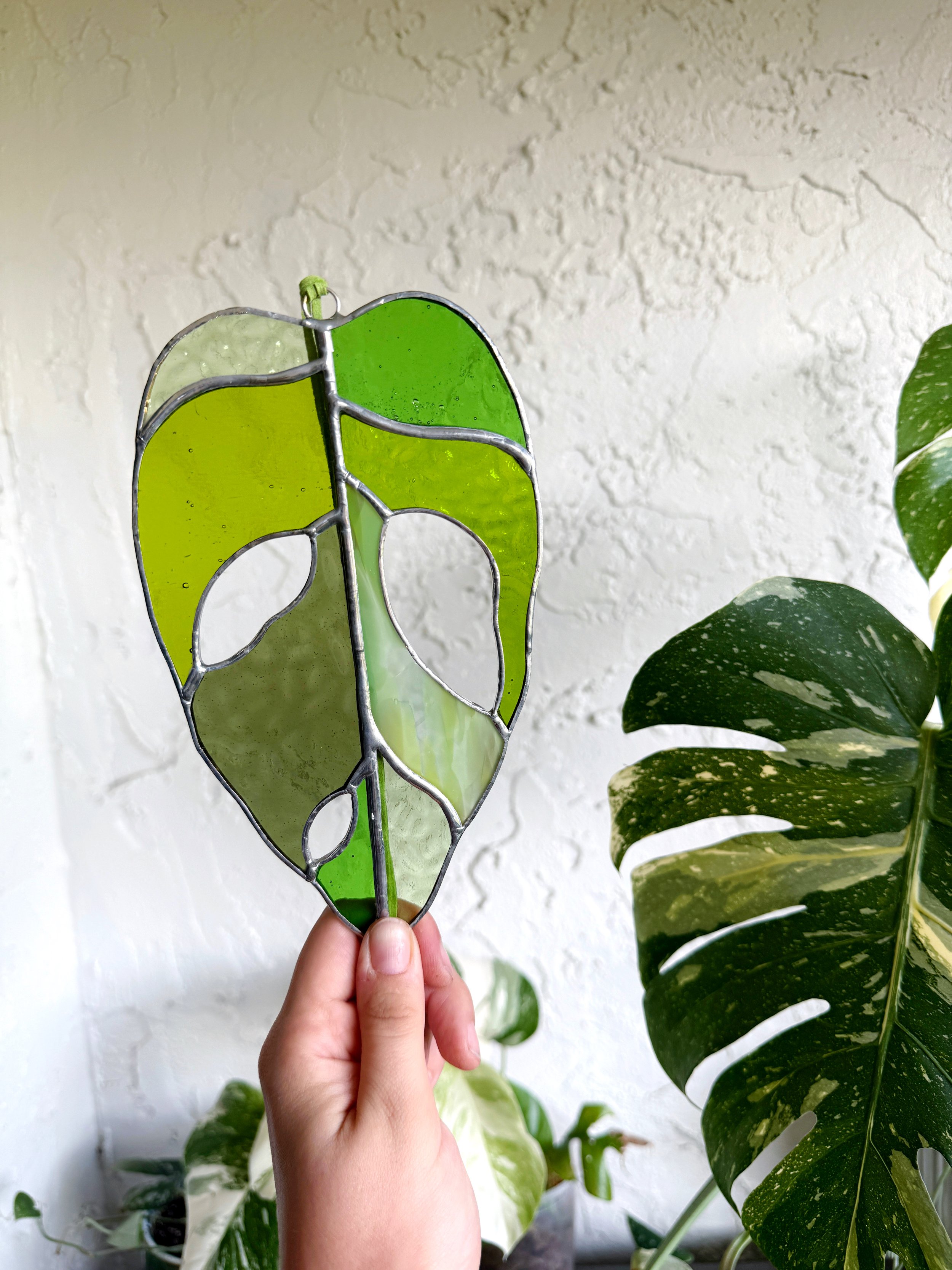 Monstera Obliqua Leaf Stained Glass
