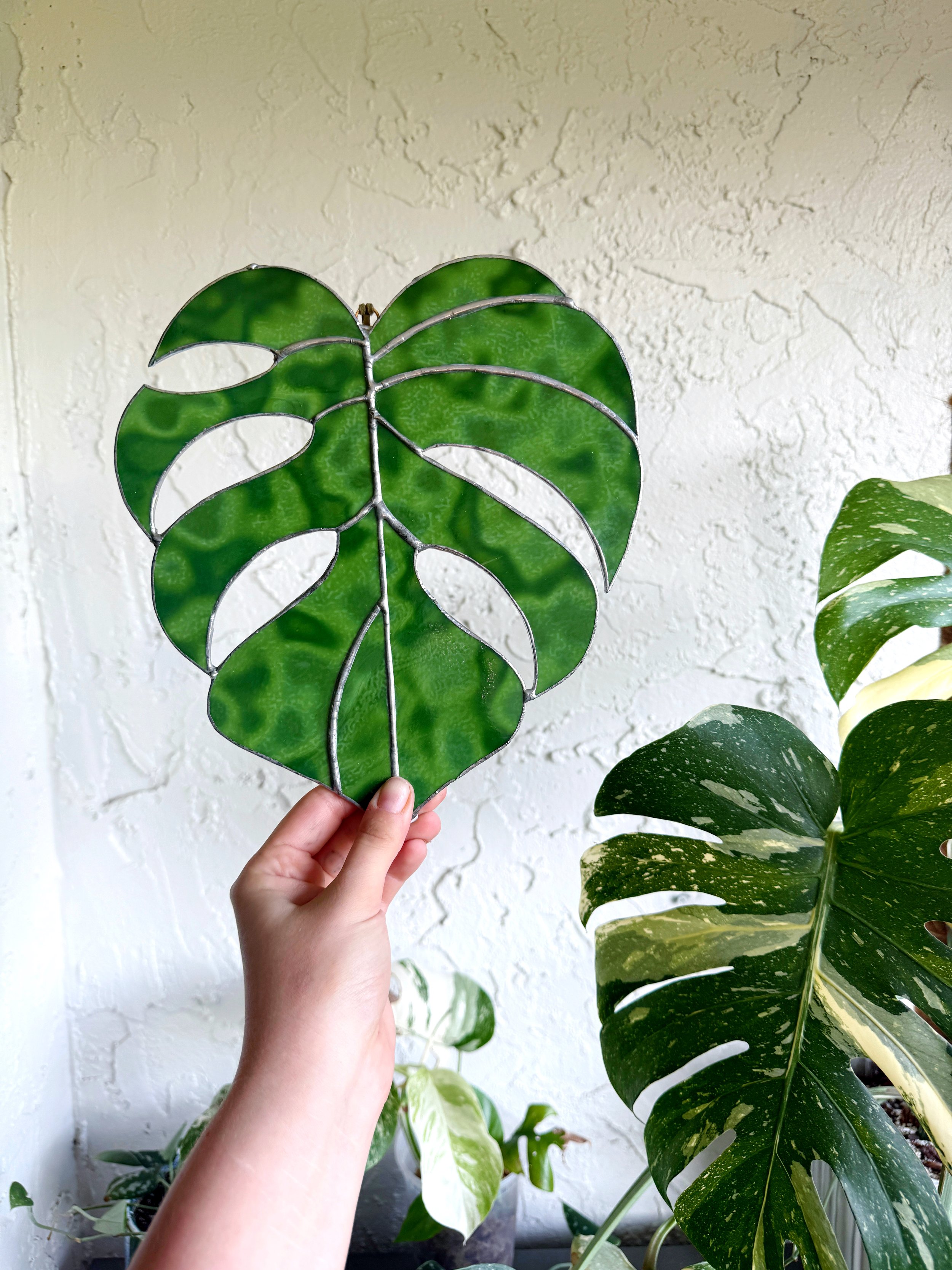 Stained Glass Monstera