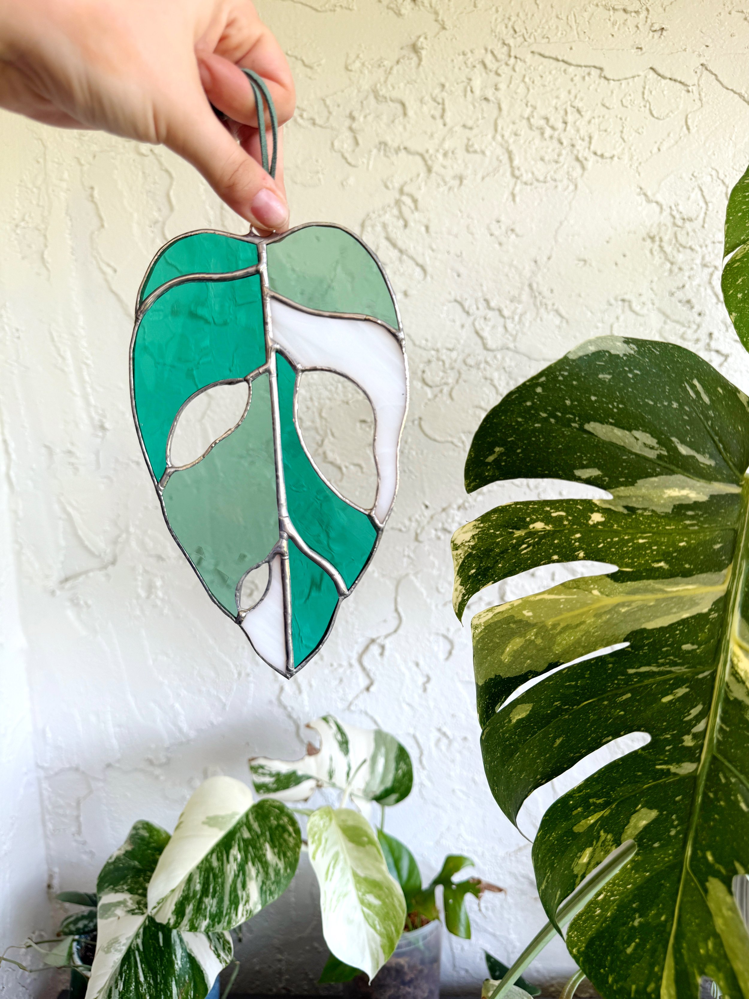 Monstera Obliqua Leaf Stained Glass