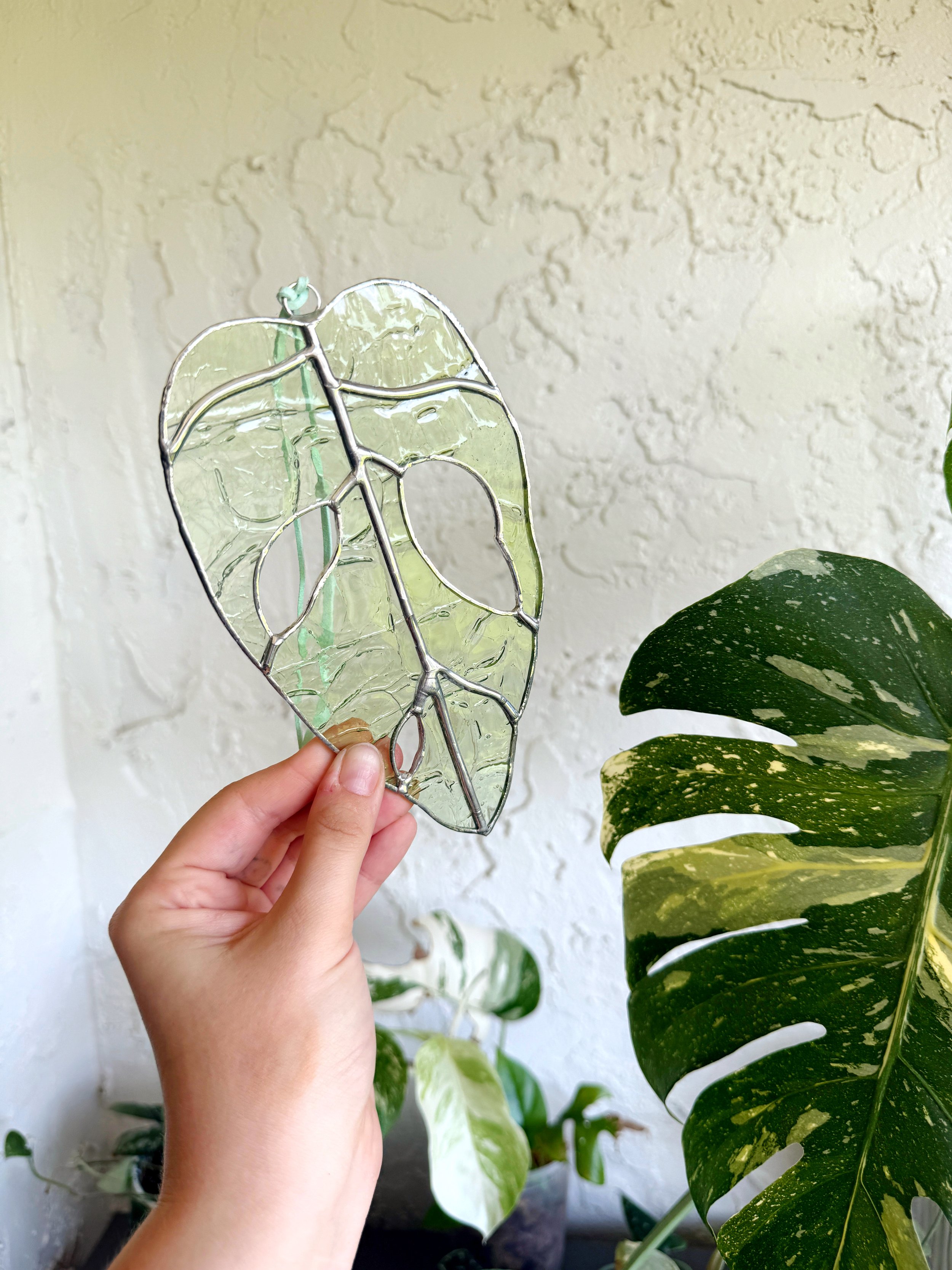 Mouth Blown Monstera Obliqua Leaf Stained Glass