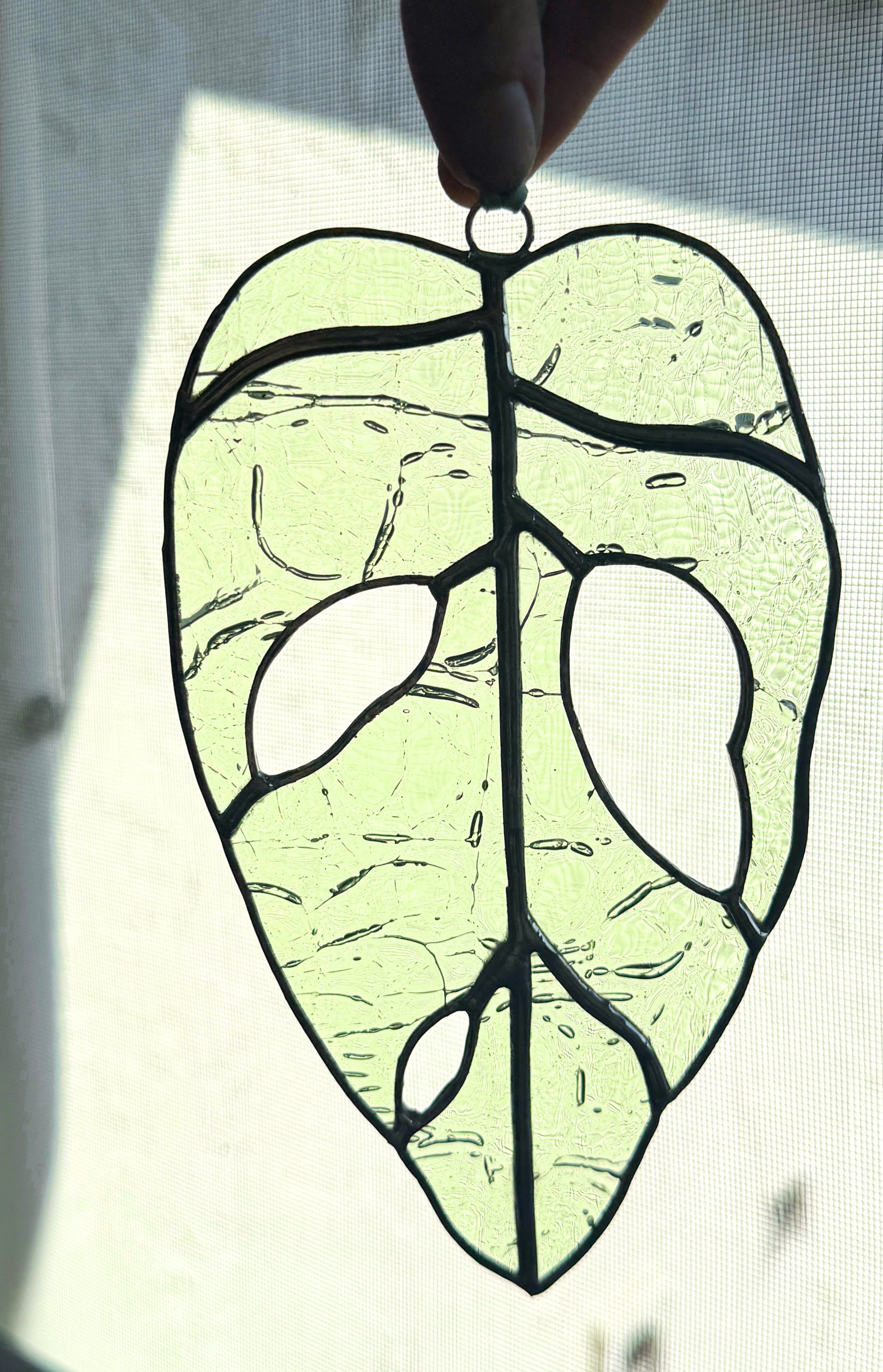 ACS_0118.jpg