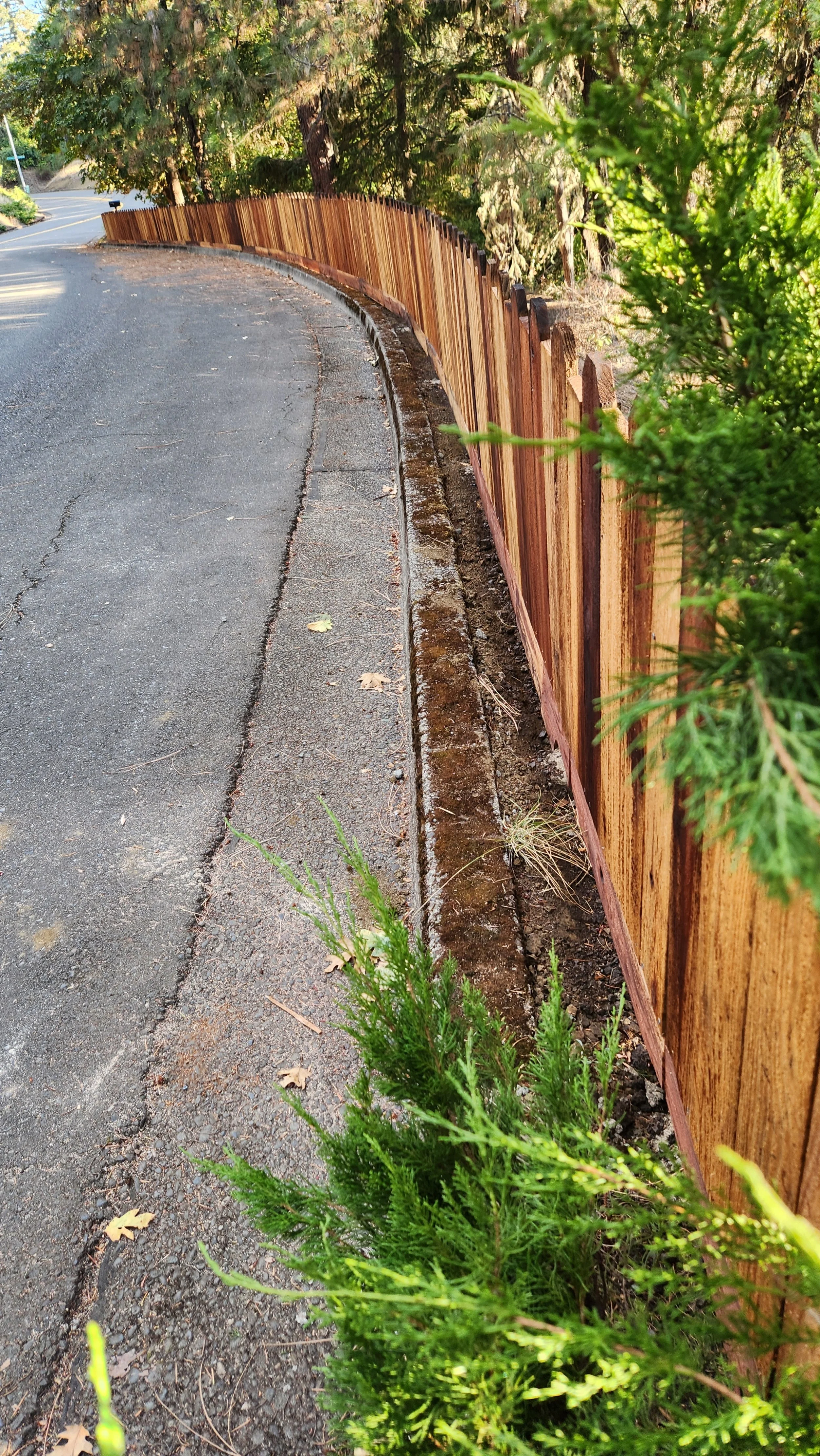 A finished redwood fence lines a curve in the road with some green bushes and tall trees in the background.