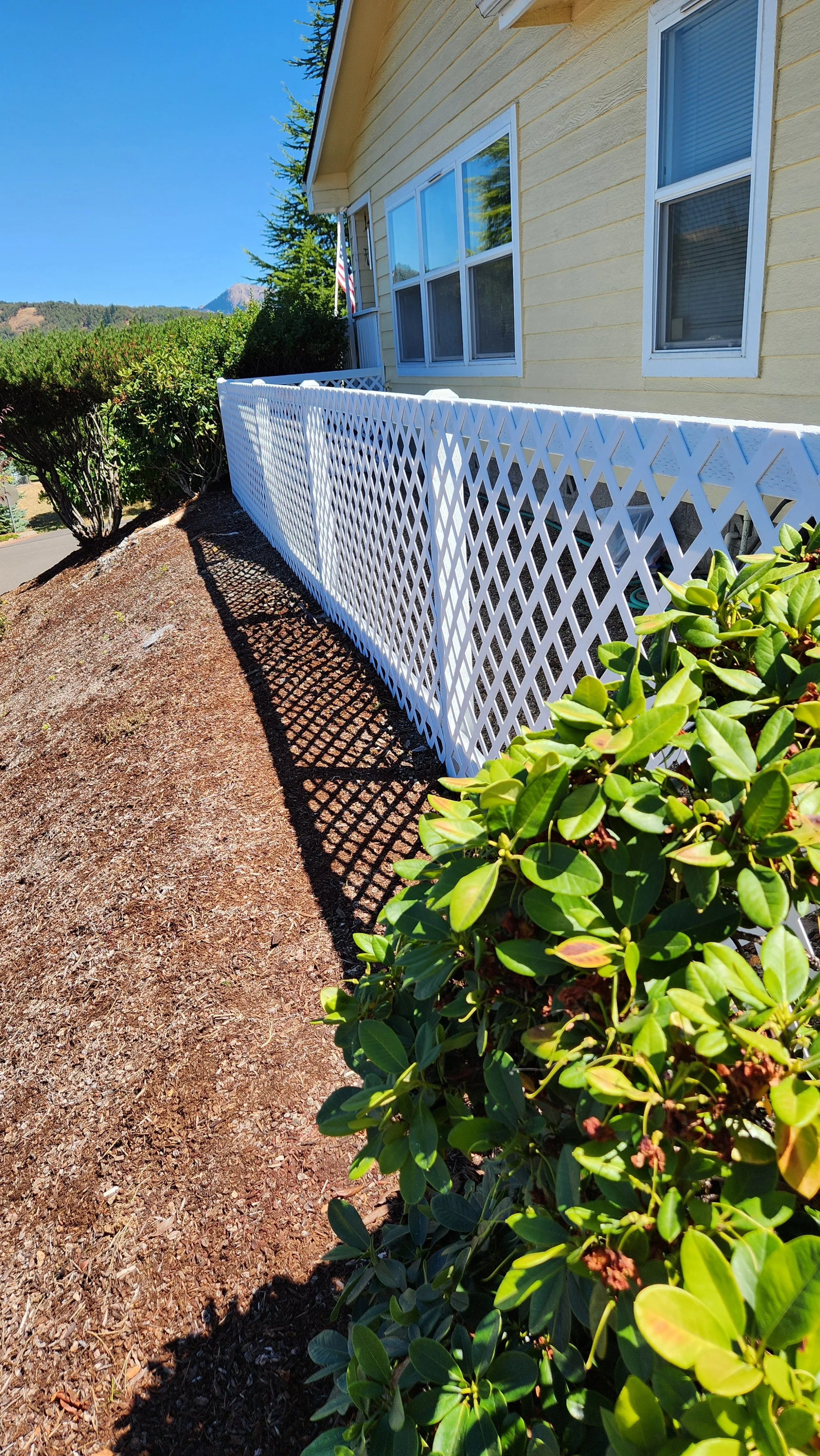 View of the side of a house with yellow siding and white-framed windows, a rebuilt white lattice fence along the yard, and green bushes with soil in the foreground. The sky is clear and blue.