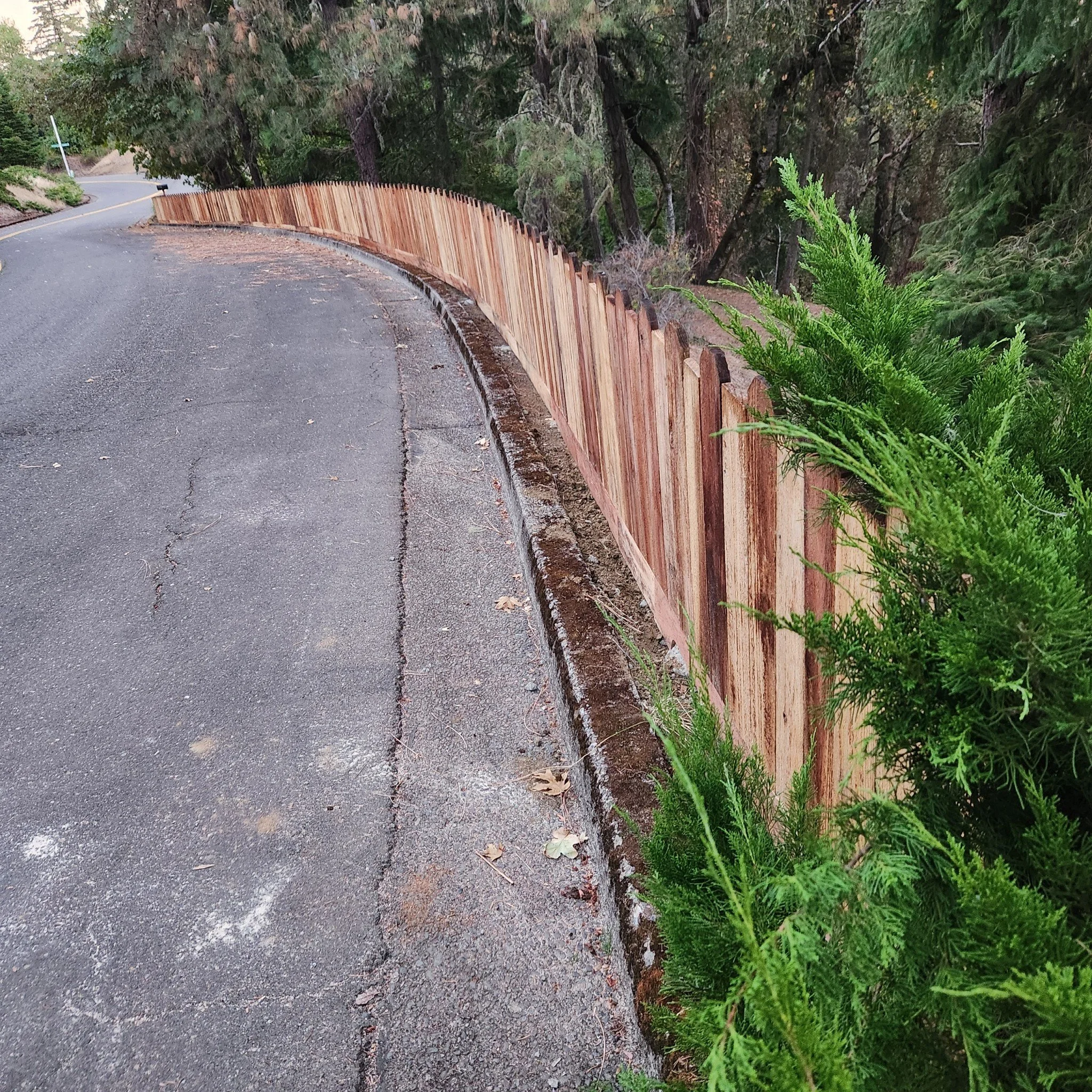 Unstained redwood fence on the right side, bordered by green bushes and trees.