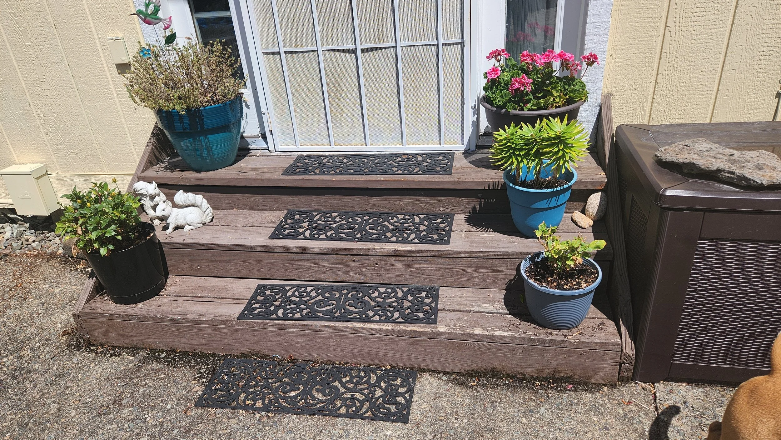 Side entrance with stairs that need to be replaced, two white animal statues on the left side, and a dog partly visible in the bottom right corner. Behind the porch is a screen door and a beige wall.