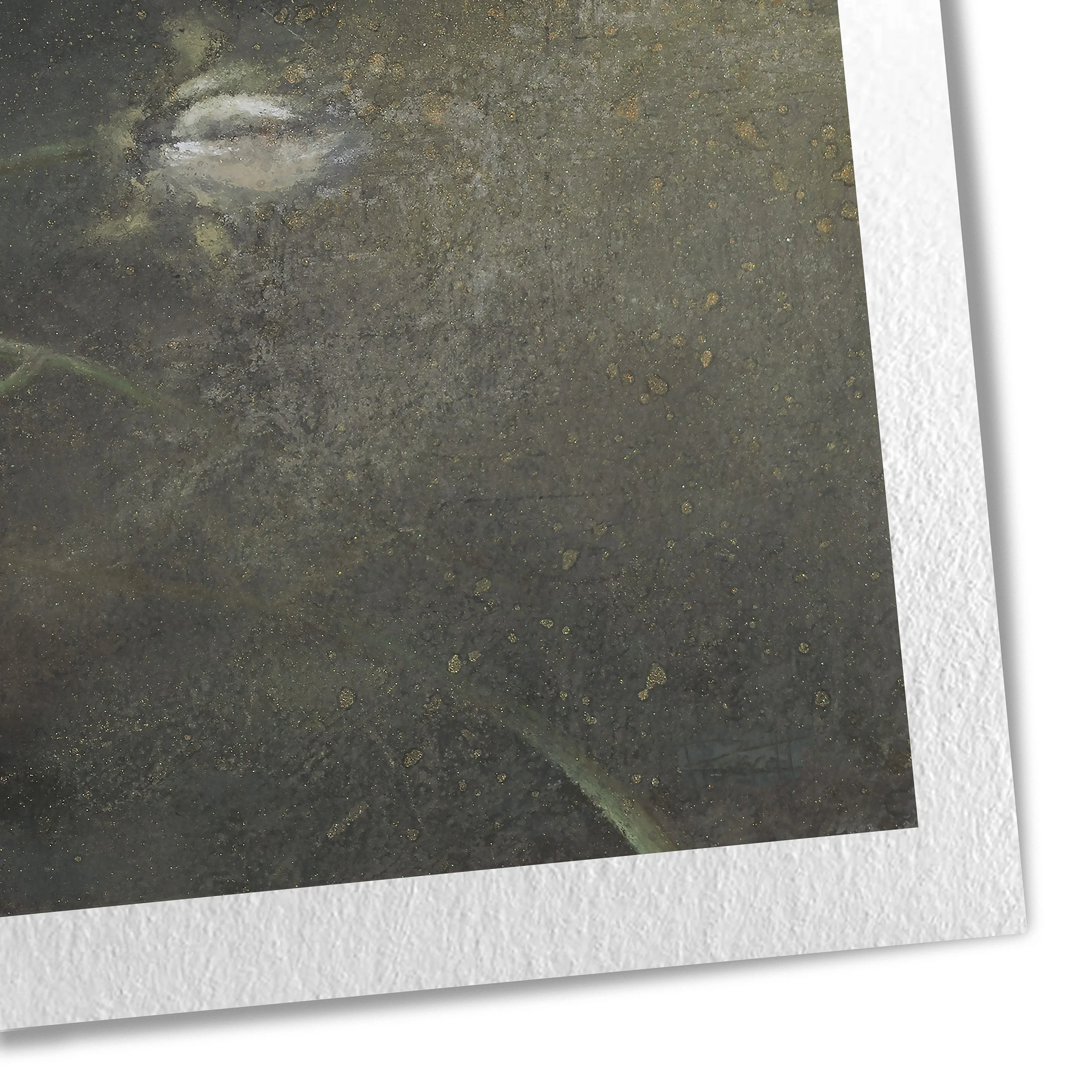 L316_I_CLOSE UPS_Giclee_2026.jpg