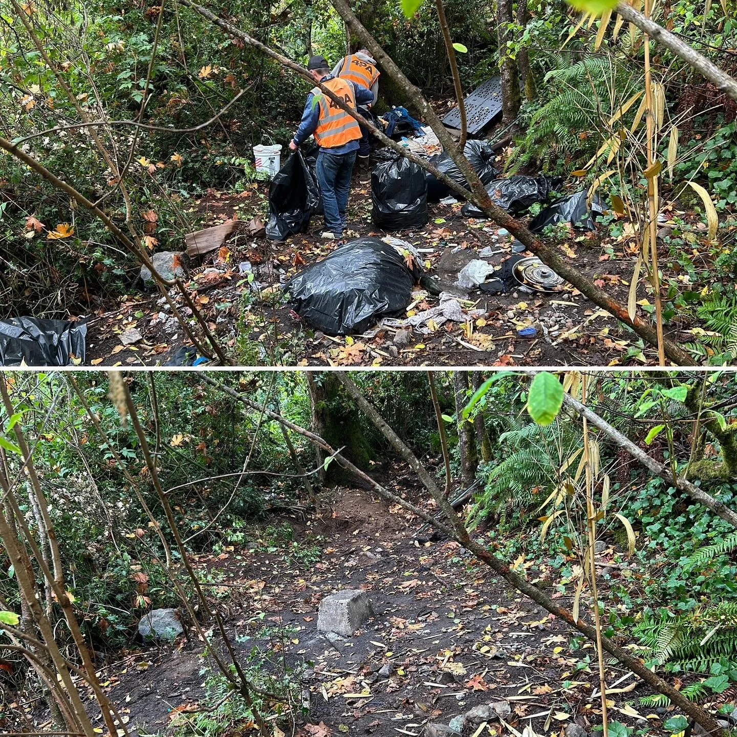 Our work in the woods is just one of the ways we can say thank you to our generous supporters. We keep it up because you believe in us💚