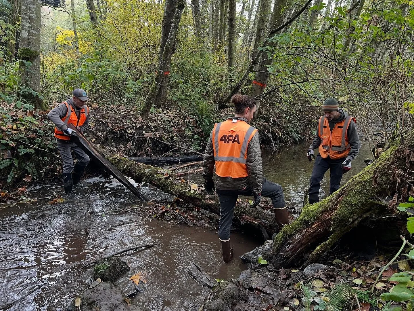 Clearing makeshift bridges from Tumwater Creek is always fun! These ones were made of metal, pallets, and other miscellaneous scraps and cut the flow significantly. 

We don&rsquo;t want this washing into the harbor when the bigs rains come! Kind of 