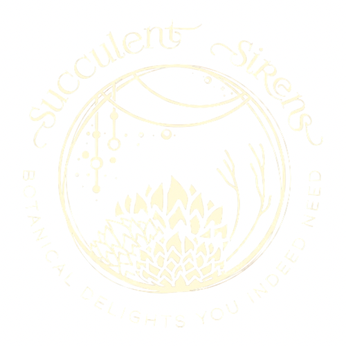 Succulent Sirens 