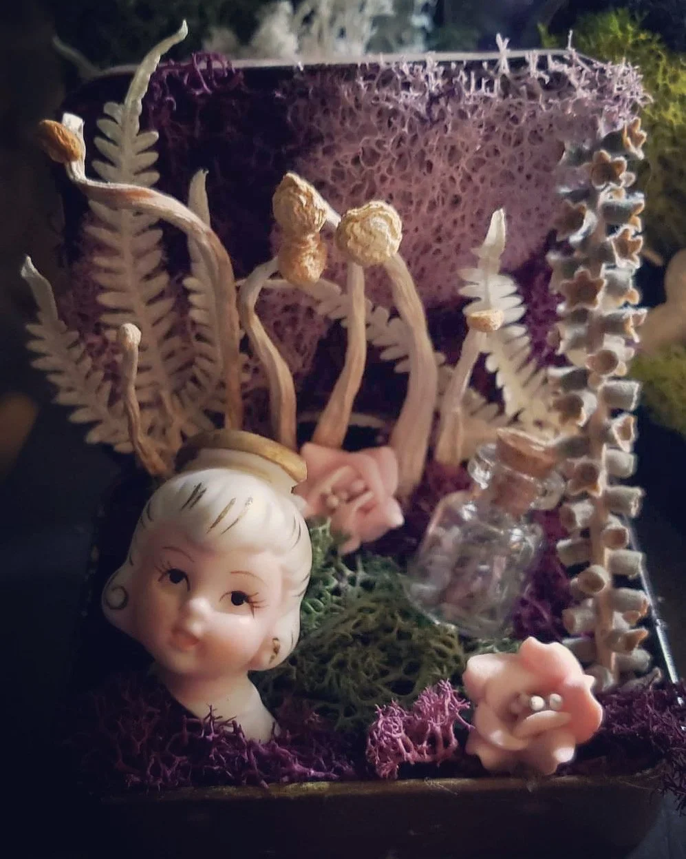 Succulent Sirens