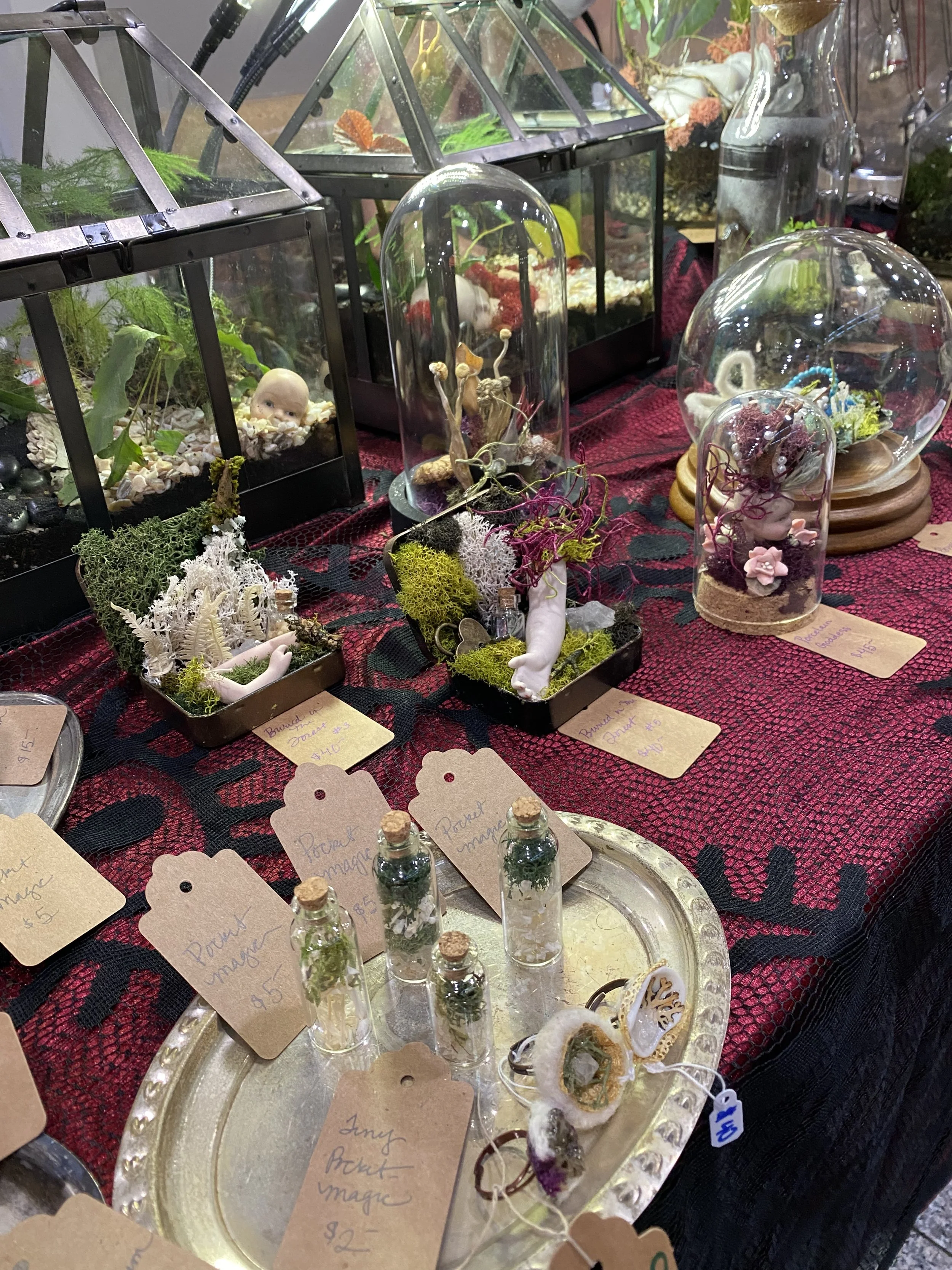 Succulent Sirens