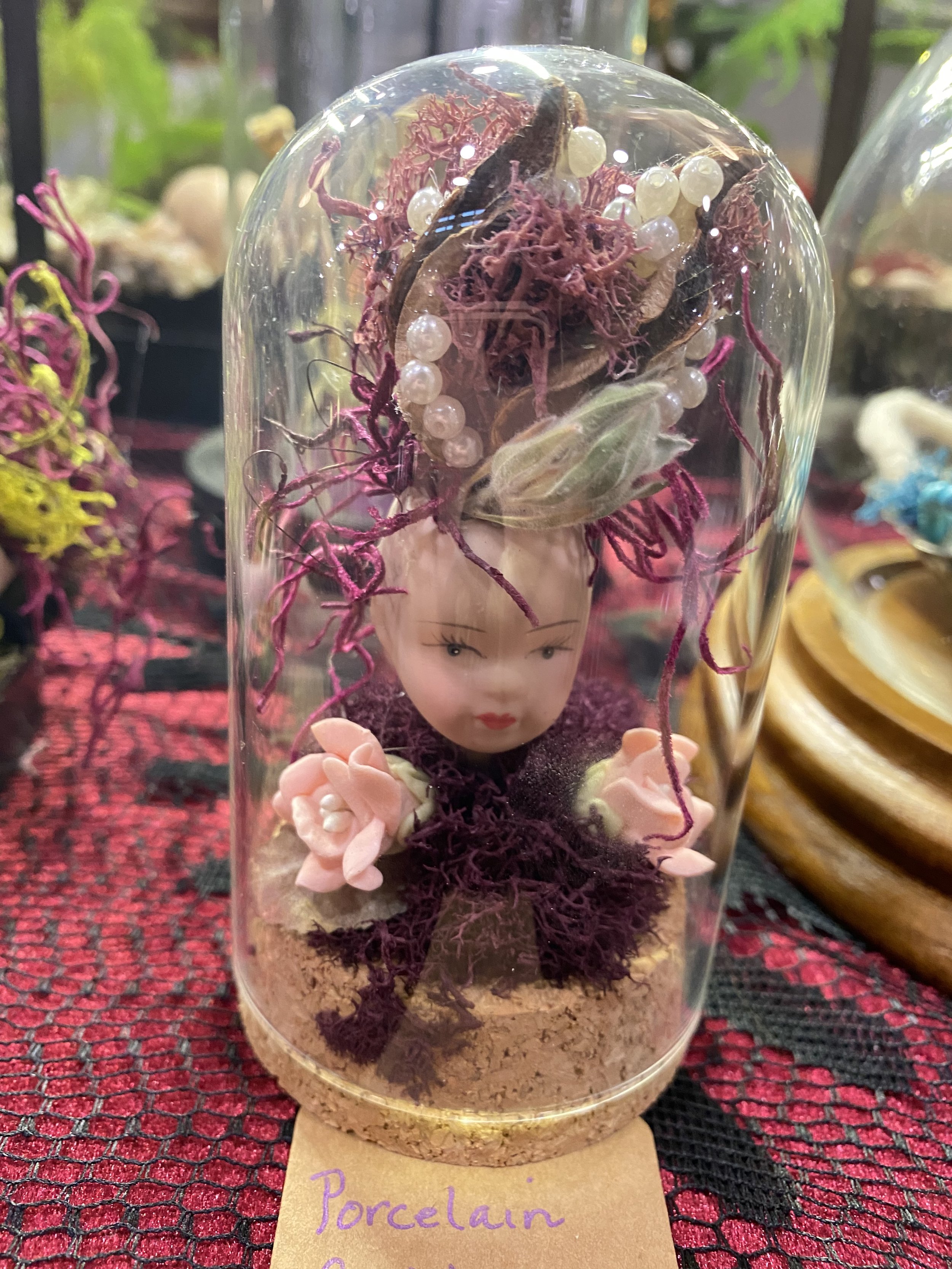 Succulent Sirens