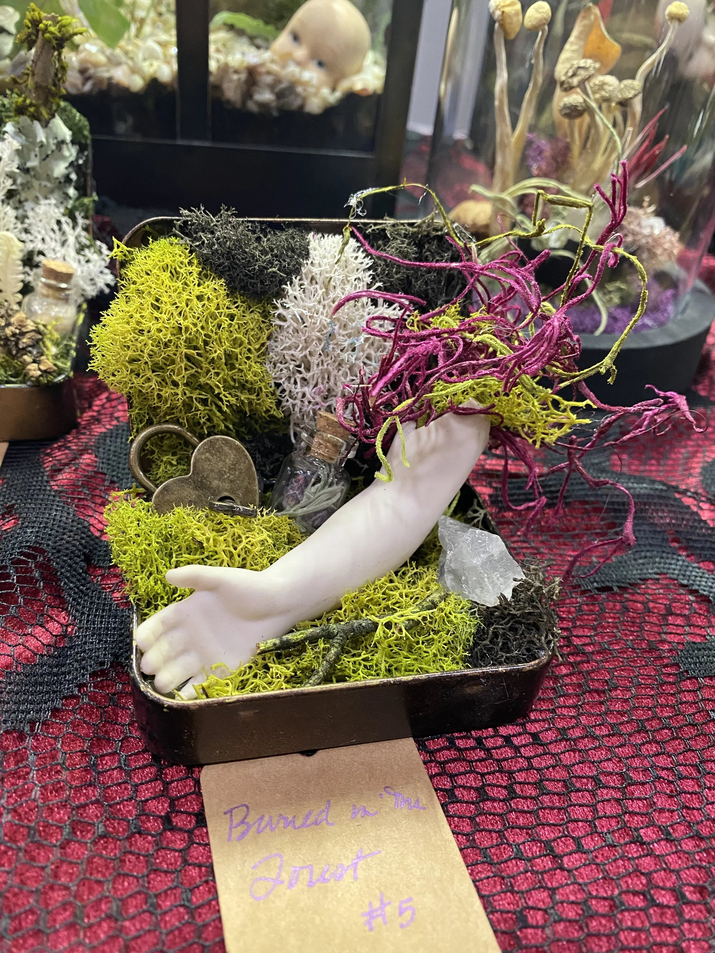 Succulent Sirens
