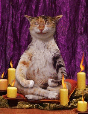 #NerdsUnite: Tips for calming your nerves before a big date