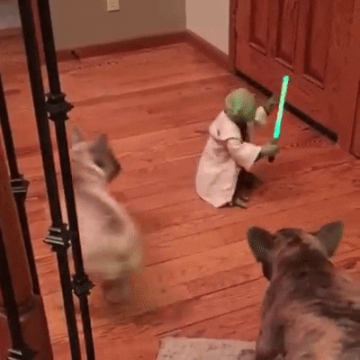 yoda282828 Talk Nerdy To Me®