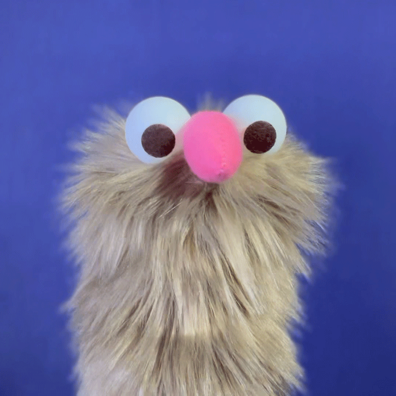 test5.gif