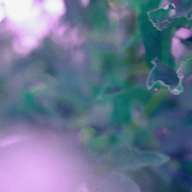 Lutes Jennings "Between" — Tome to the Weather Machine