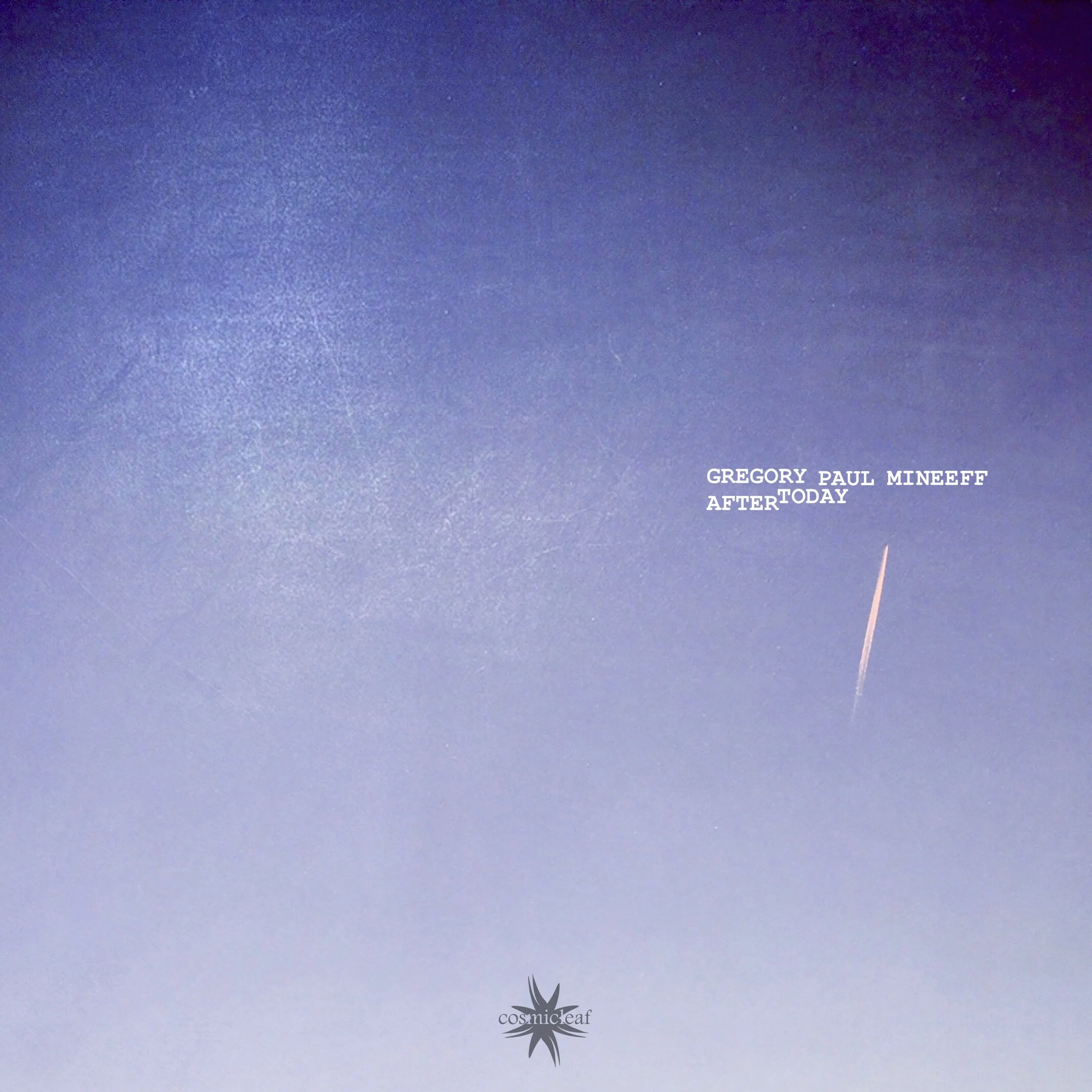 Gregory Paul Mineeff - "Words You Wish You Said"