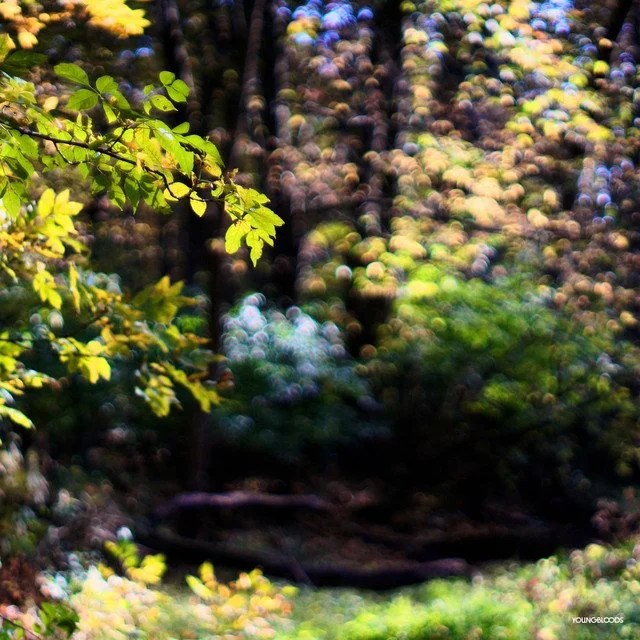 STU PENDER "ELECTRIC PETALS" — Tome to the Weather Machine