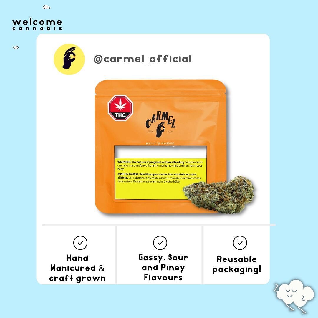 Craft bud and an environmentally friendly brand? SIGN US UP! 🍃🍃

Welcome Cannabis is super excited to work with Carmel and their Re-Usable Master Pack Program! As cannabis smokers we all have a connection with Mother Nature whether we know it or no