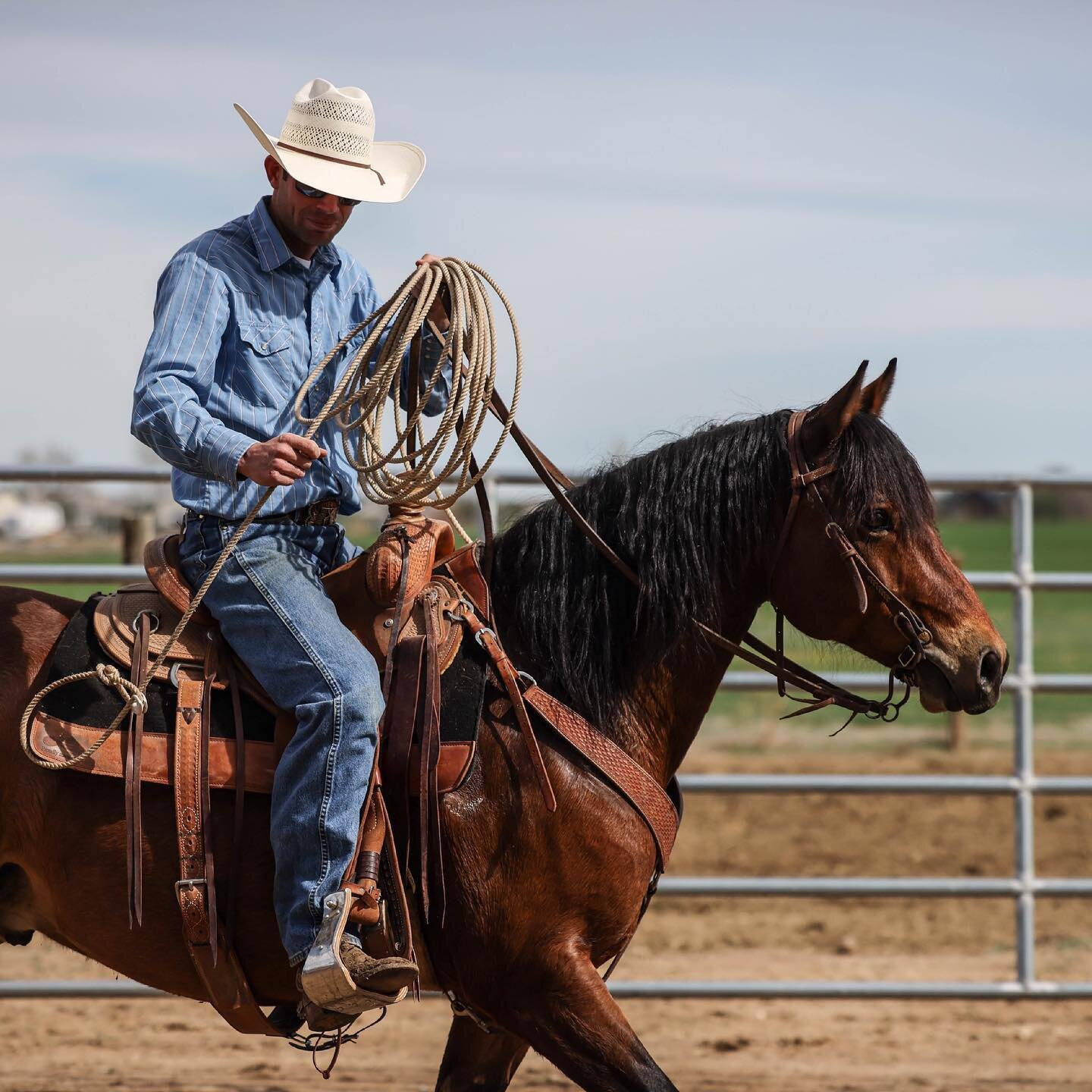 Sometimes I just can&rsquo;t decide if I like it better in color or in black and white 😬 

#blackabdwhitephotography #colorvsblackandwhite #cowboys #cowboy #aqha #bay #branding #cowhorse