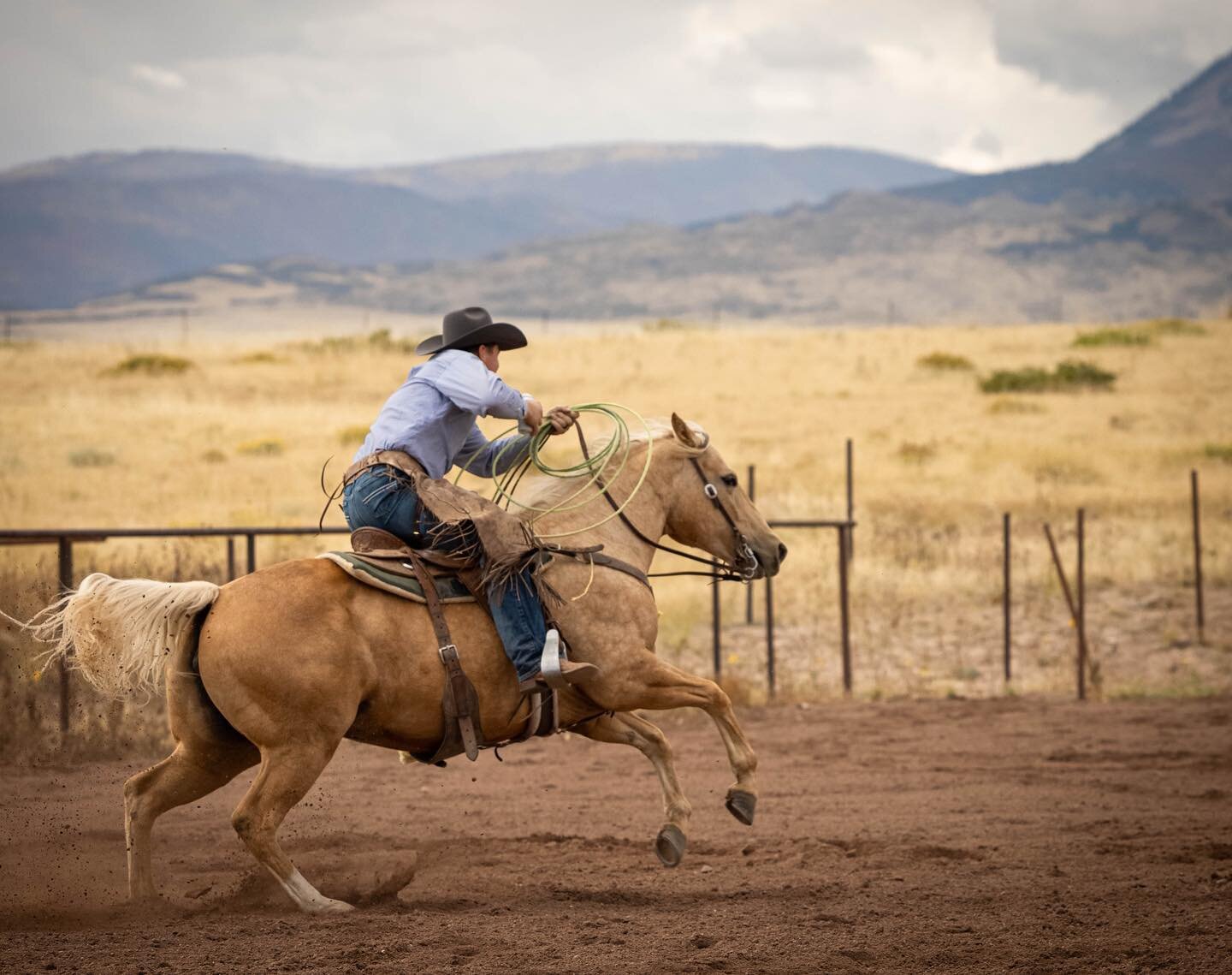 Full send into this beautiful weekend ☀️

La Veta Workshop by @horsemanshipcollective @emily.nicole.photo.co 

#fasthorses #palamino #cowboy #palaminohorse #fullsend #sendit #horses #cowboys #coloradocowboy