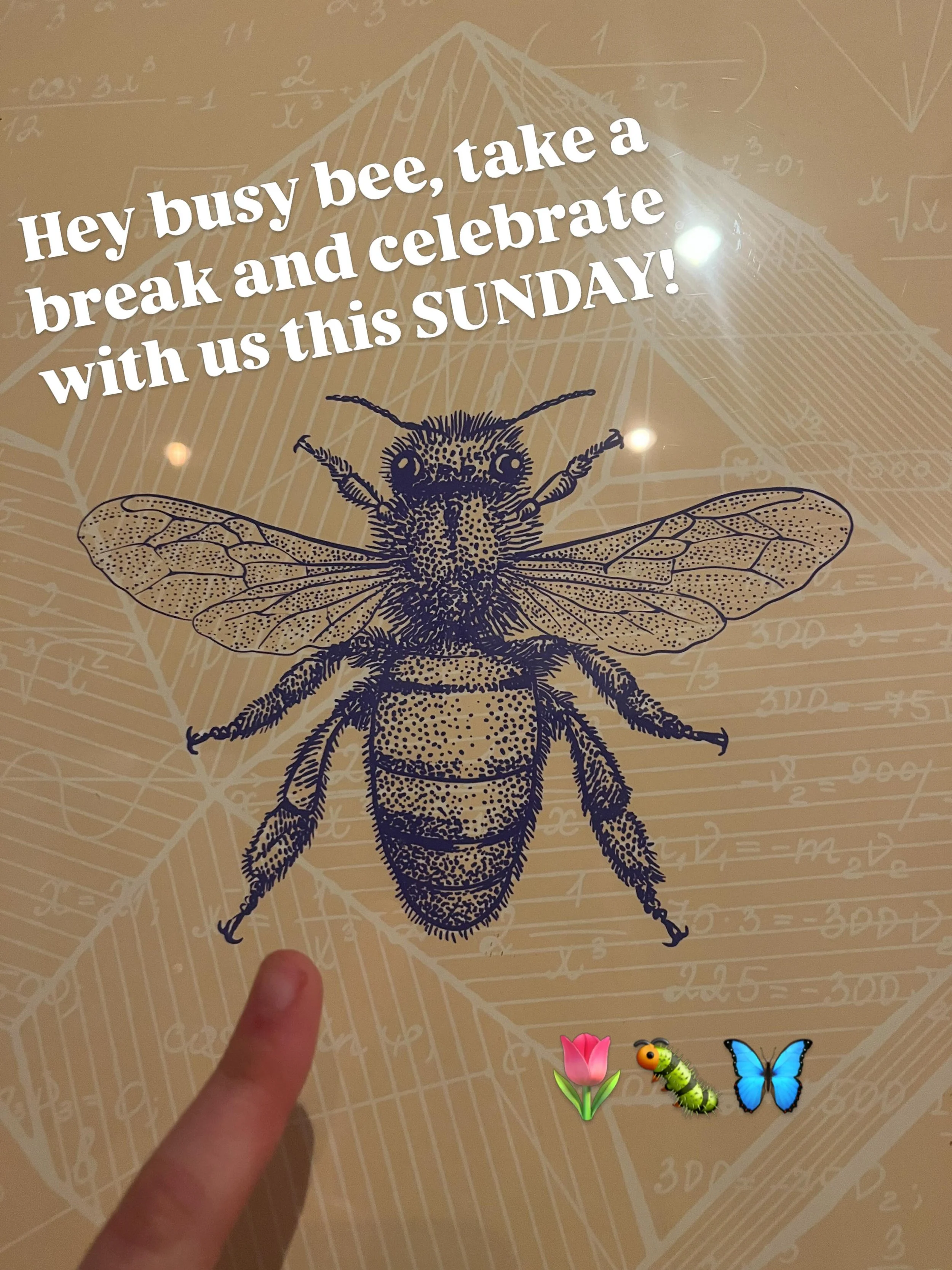 5️⃣ day countdown until our member event at Mighty Squirrel, Waltham this Sunday (5/10)! Come celebrate moms, mother earth, this growing co-op community, and Spring! Delicious free food provided. 

🍄&zwj;🟫 Have you wanted to learn more about mushro