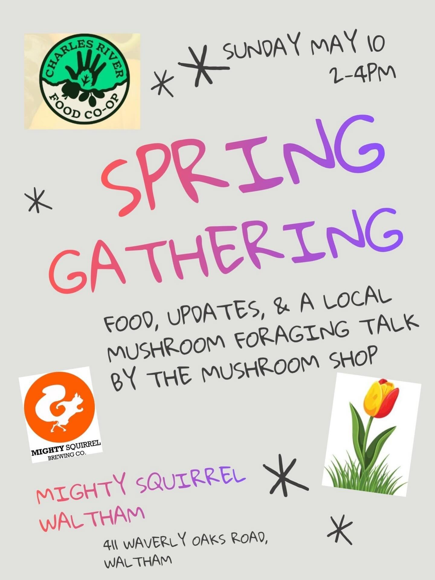 We are so excited to be gathering at Mighty Squirrel - Waltham for our Spring Member Event! 
 🤩🥗💐🍄
Featuring @themushroomshopsomerville, delicious food, bubbly drinks, and a chance to spend time together with the people making this co-op possible