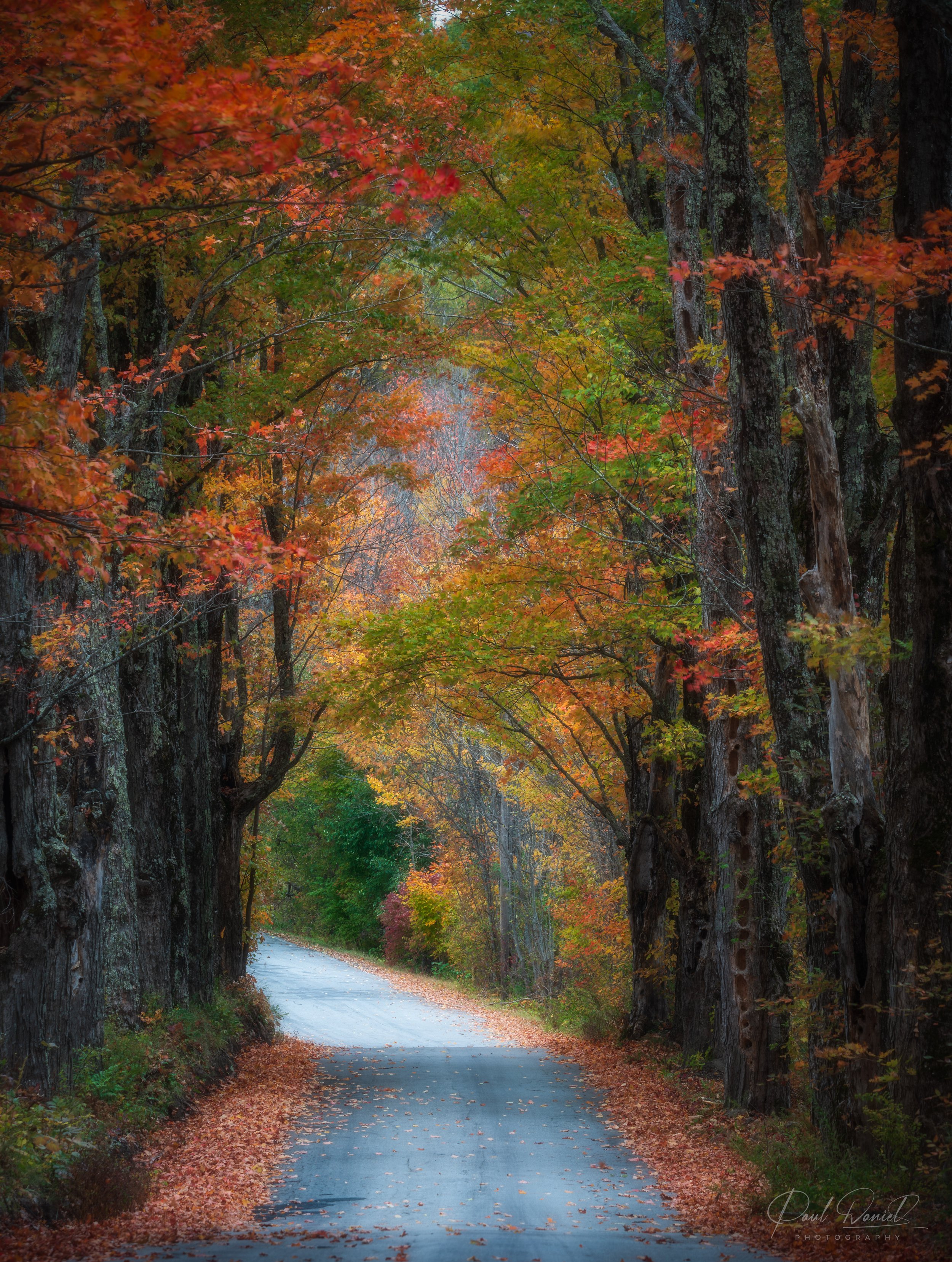 NEW ENGLAND 9